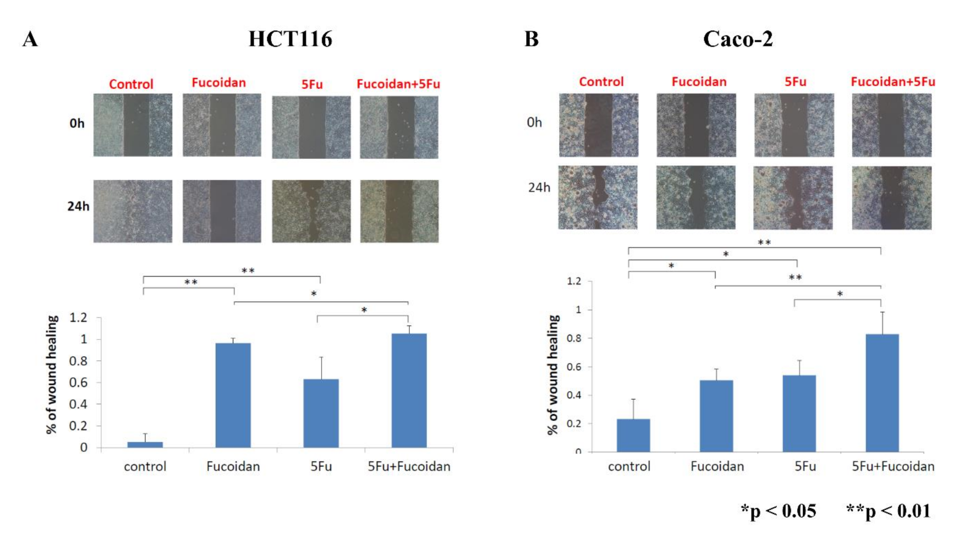Ijms 22 08041 g006 550