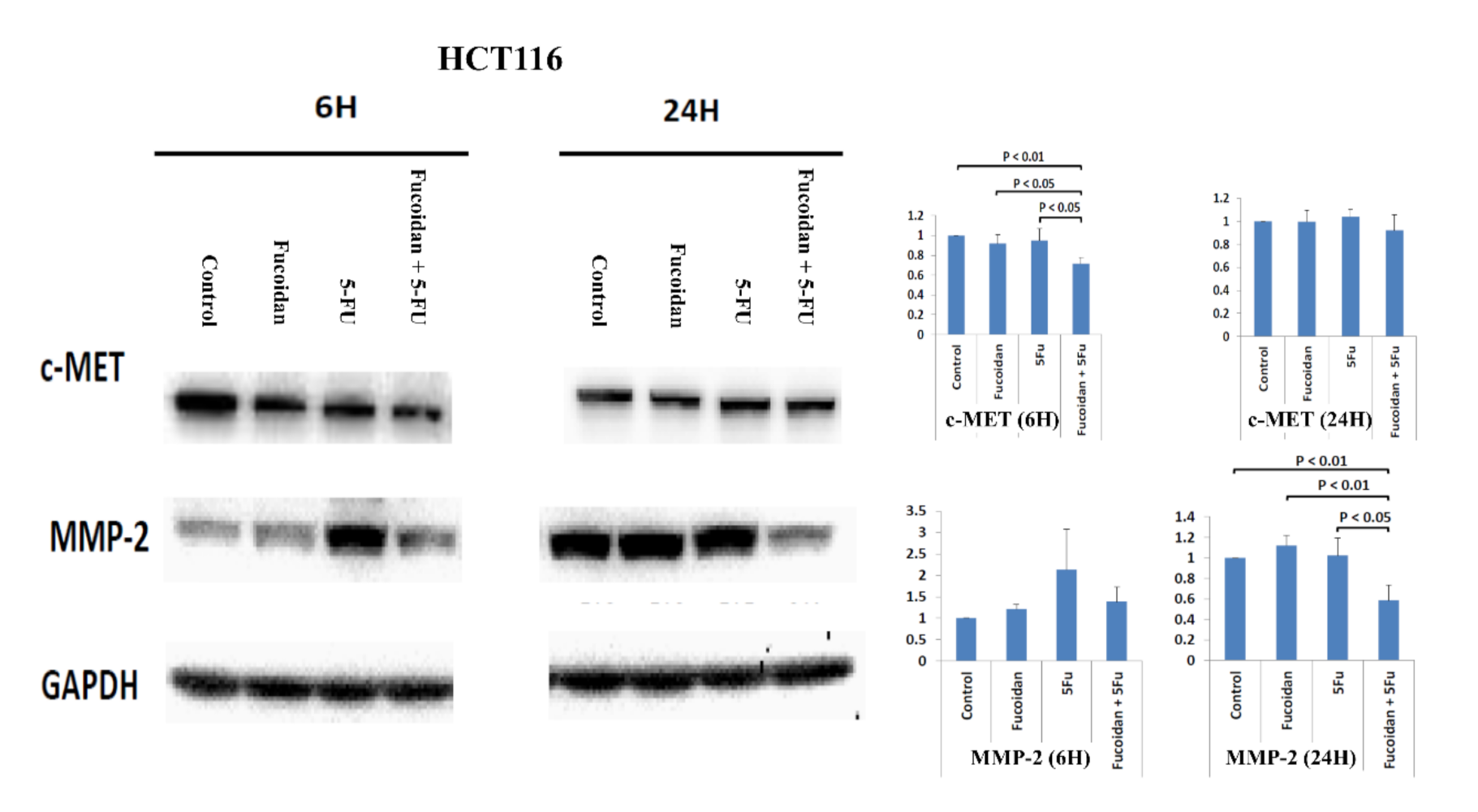 Ijms 22 08041 g007 550
