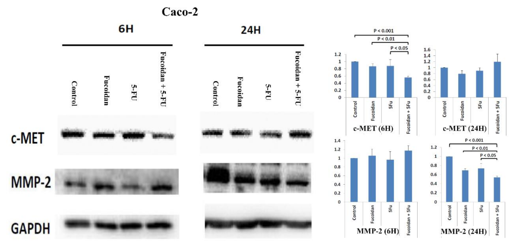 Ijms 22 08041 g008 550