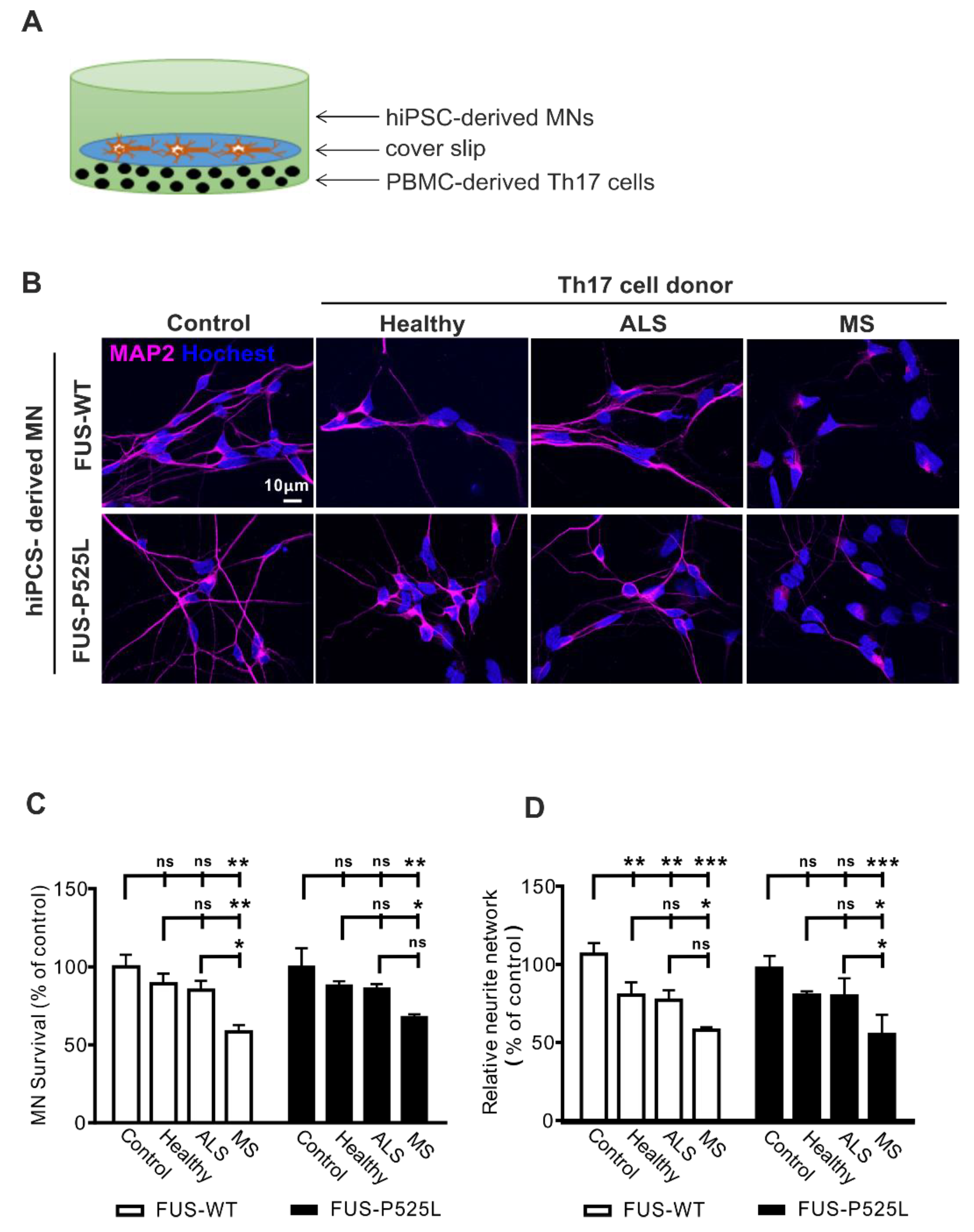 Ijms 22 08042 g001 550