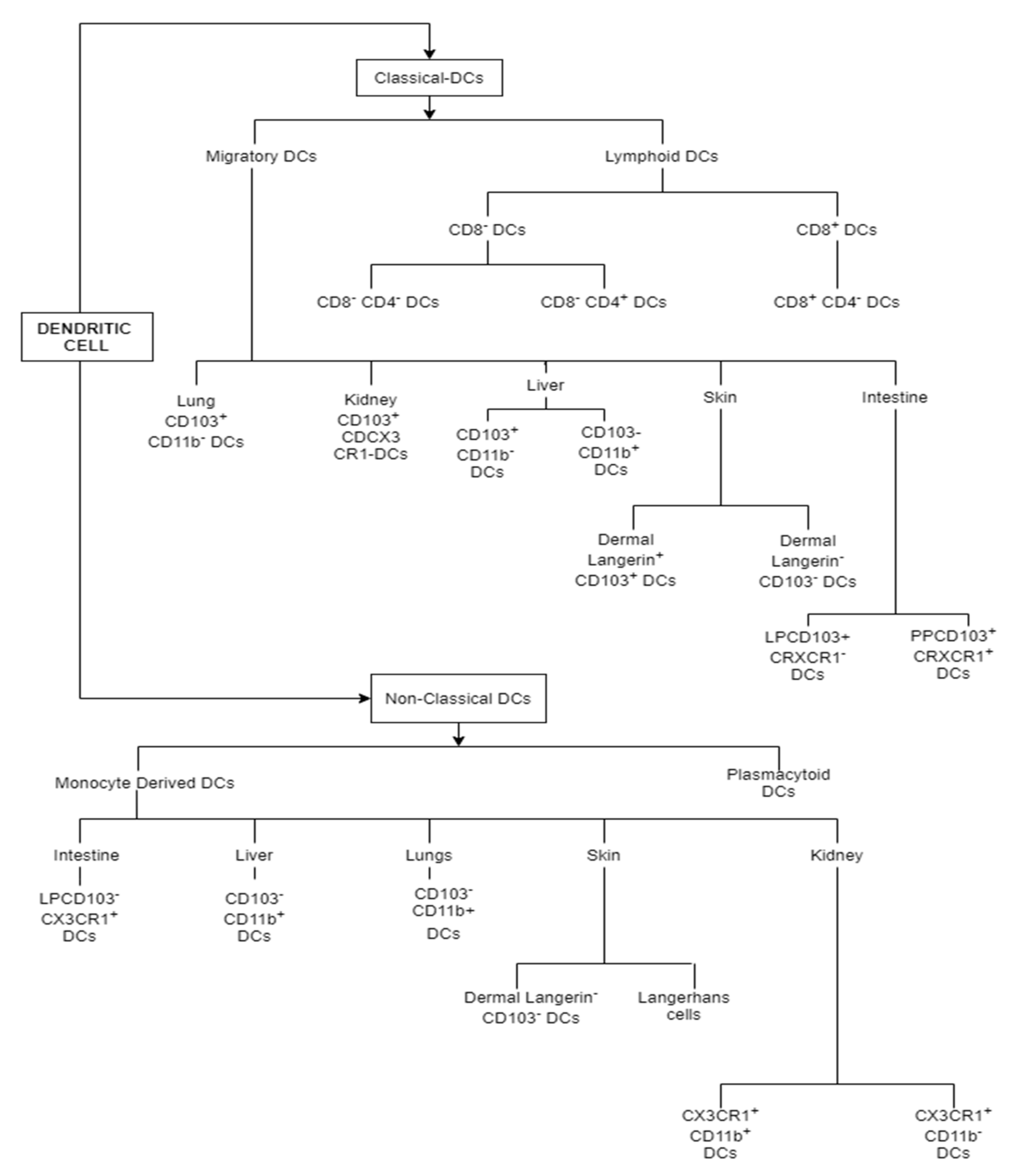 Ijms 22 08044 g001 Ijms 22 08044 g001