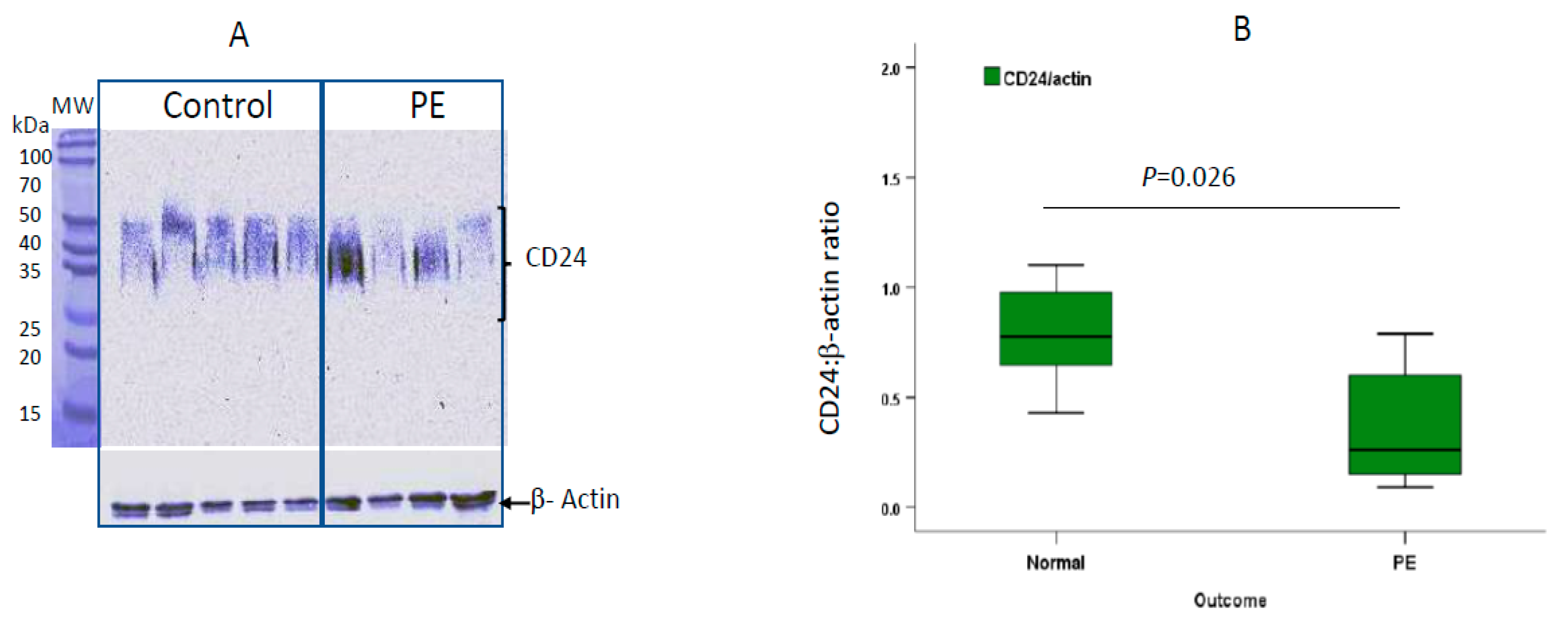 Ijms 22 08045 g005 550