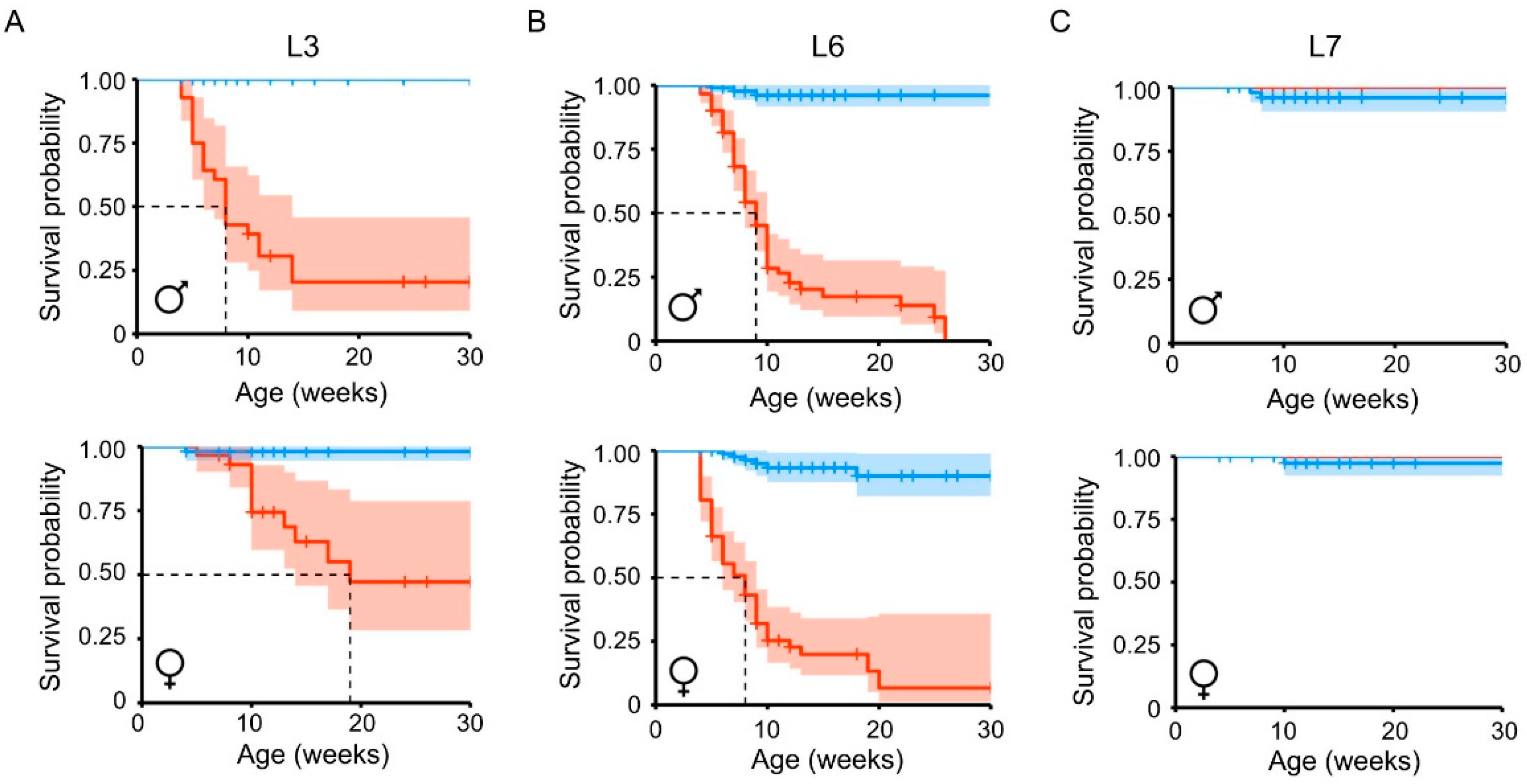 Ijms 22 08047 g002 550