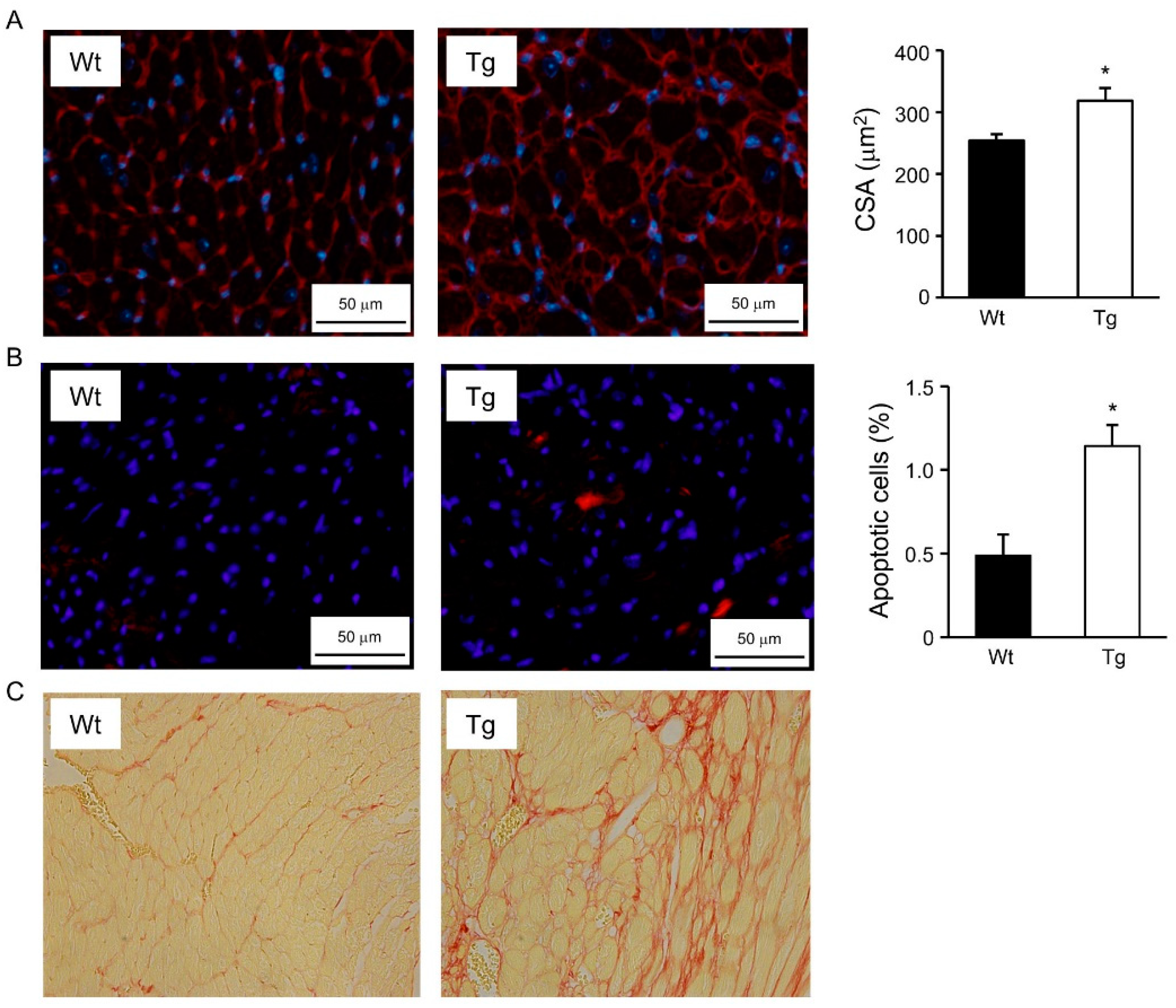 Ijms 22 08047 g005 550