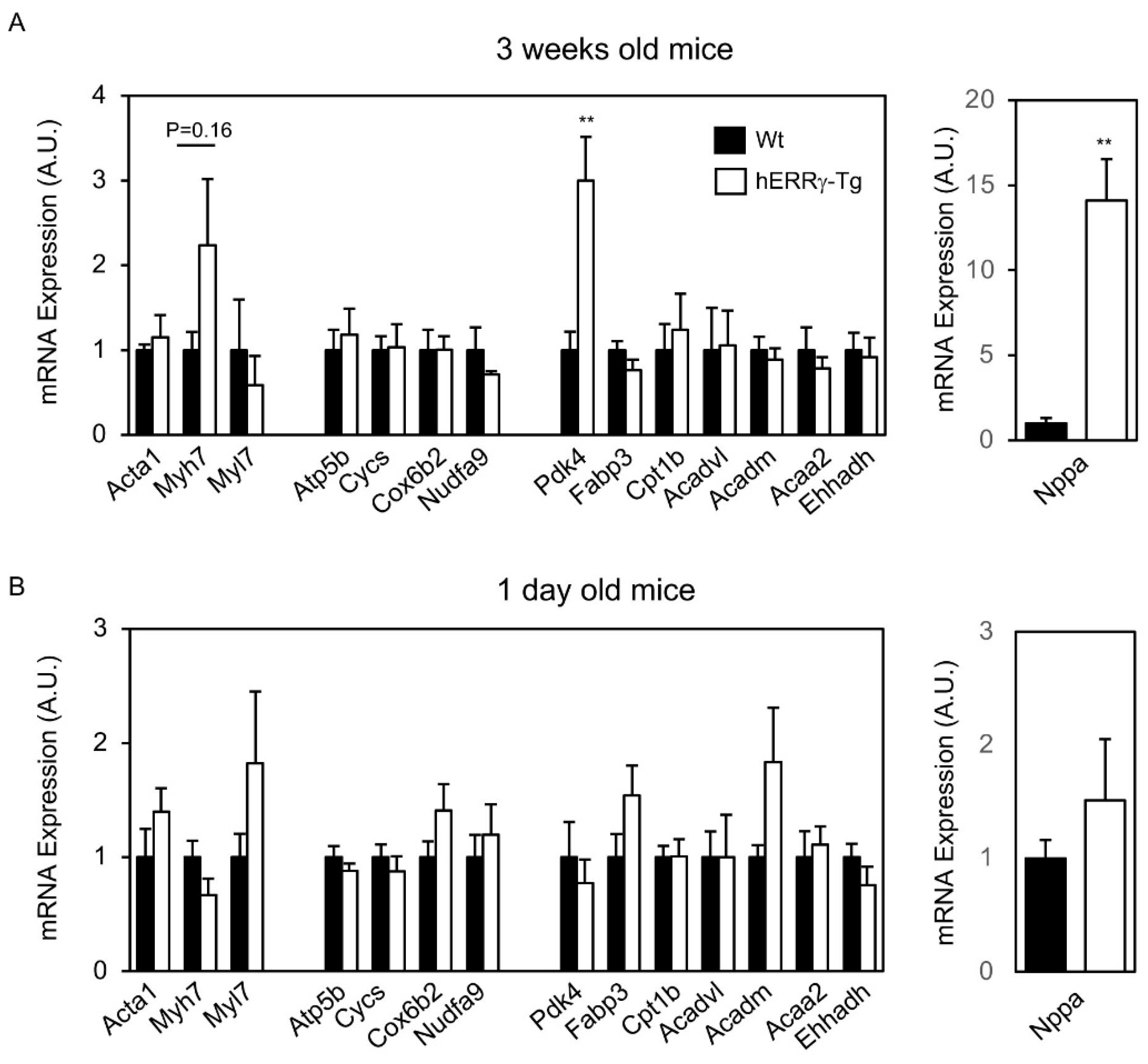 Ijms 22 08047 g007 550