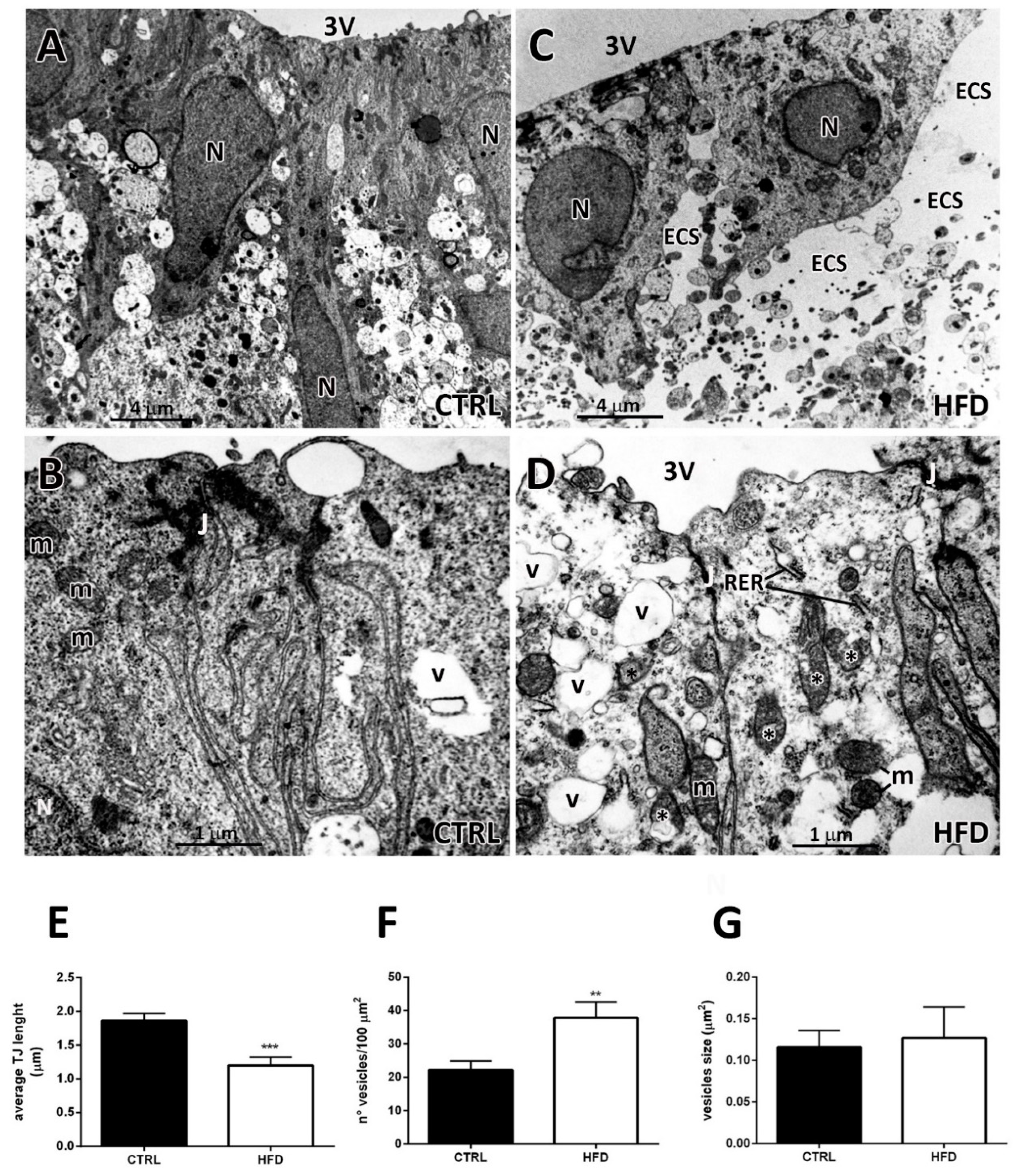 Ijms 22 08049 g002 550