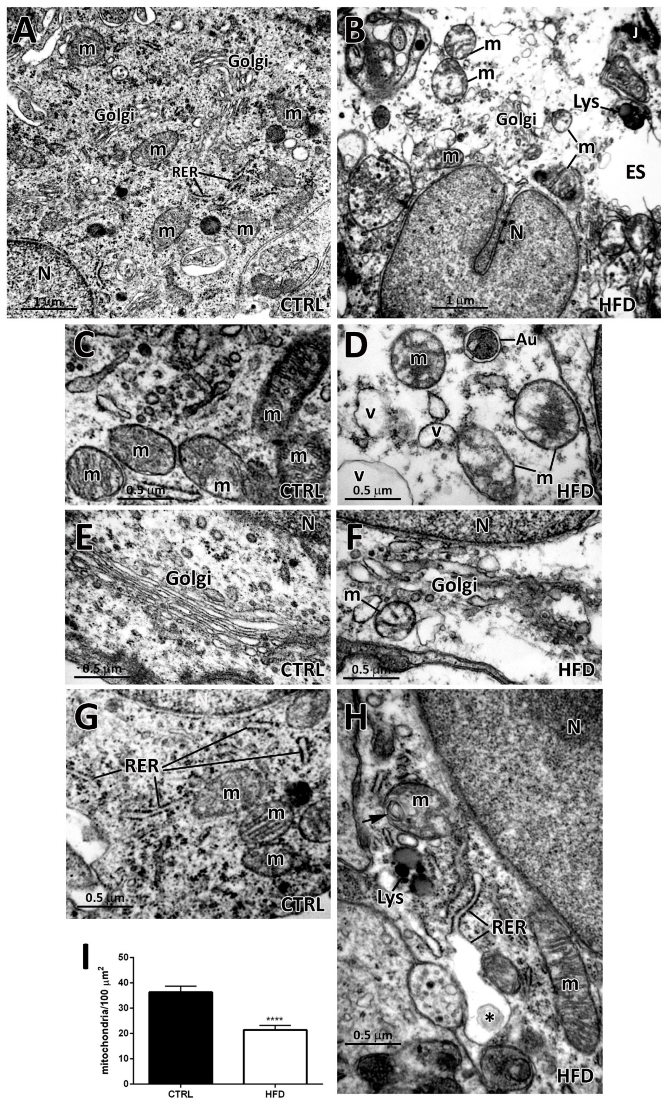 Ijms 22 08049 g003 550