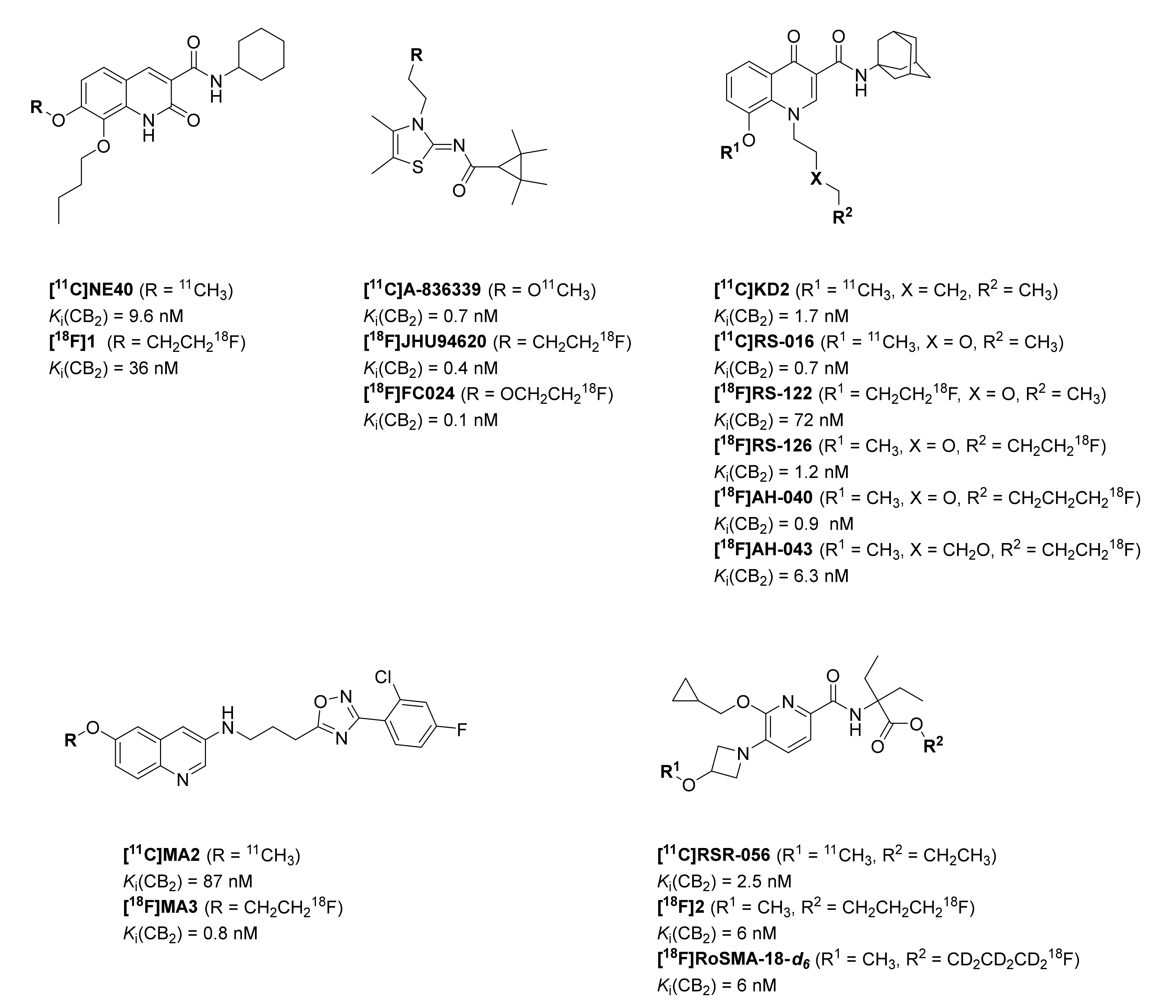 IJMS | Free Full-Text | Development of [18F]LU14 for PET Imaging of  Cannabinoid Receptor Type 2 in the Brain | HTML