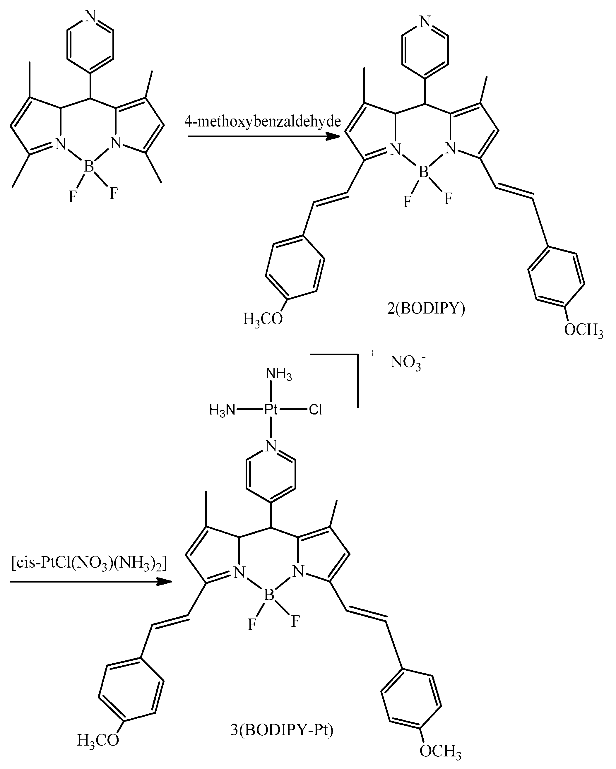 Ijms 22 08052 sch001