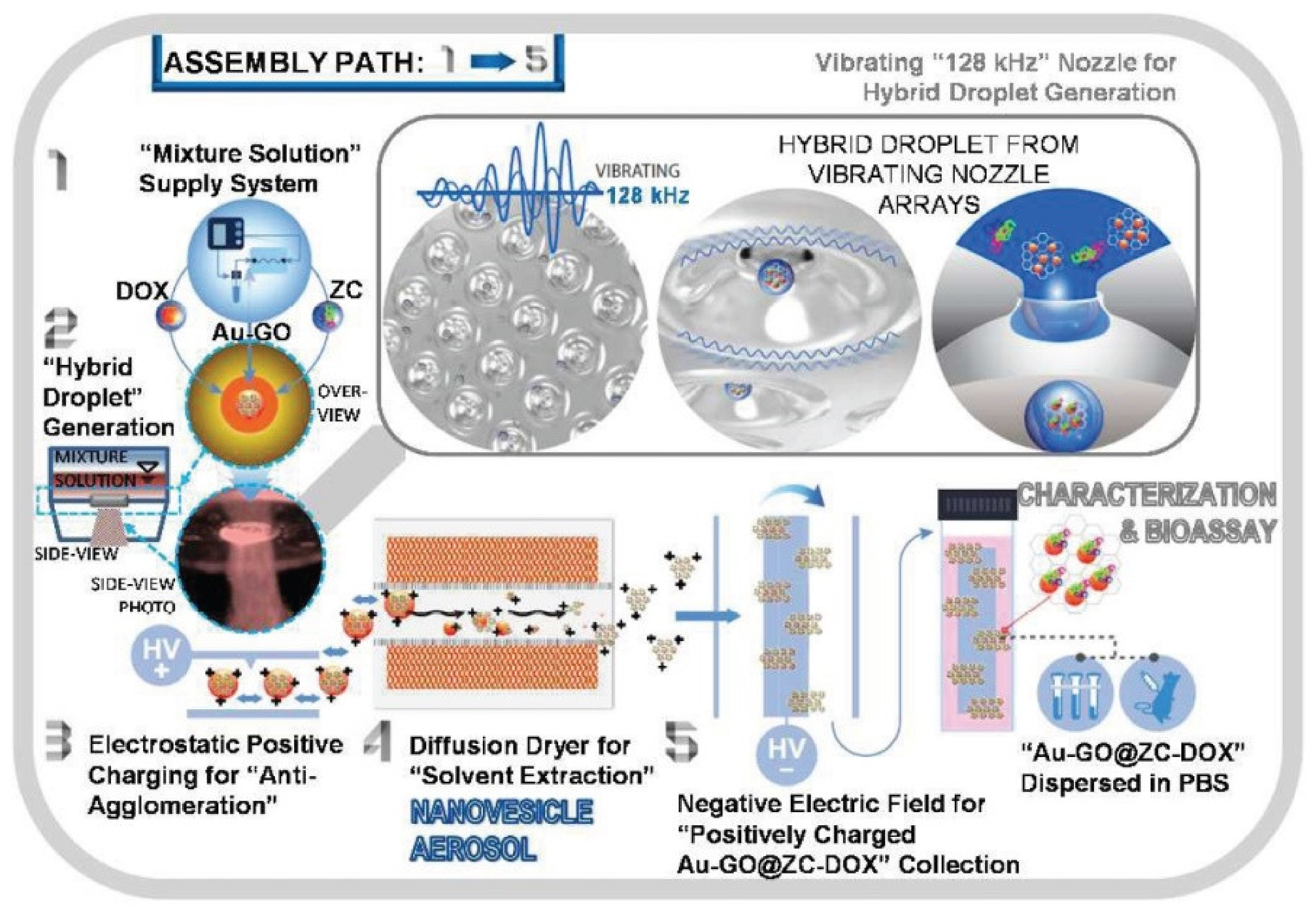 Ijms 22 08060 g002 550