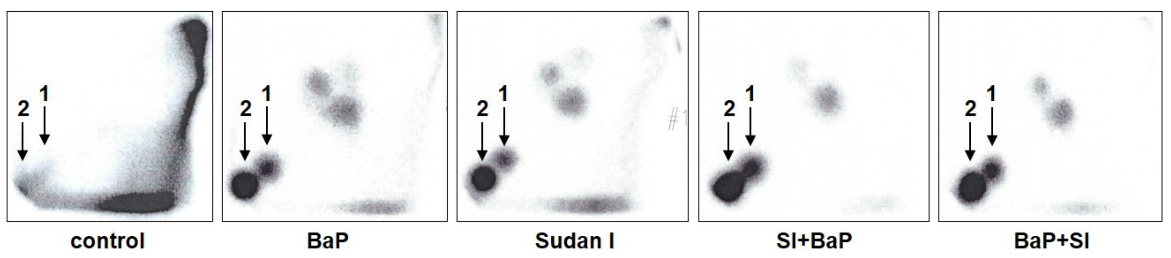 Ijms 22 08062 g003 550