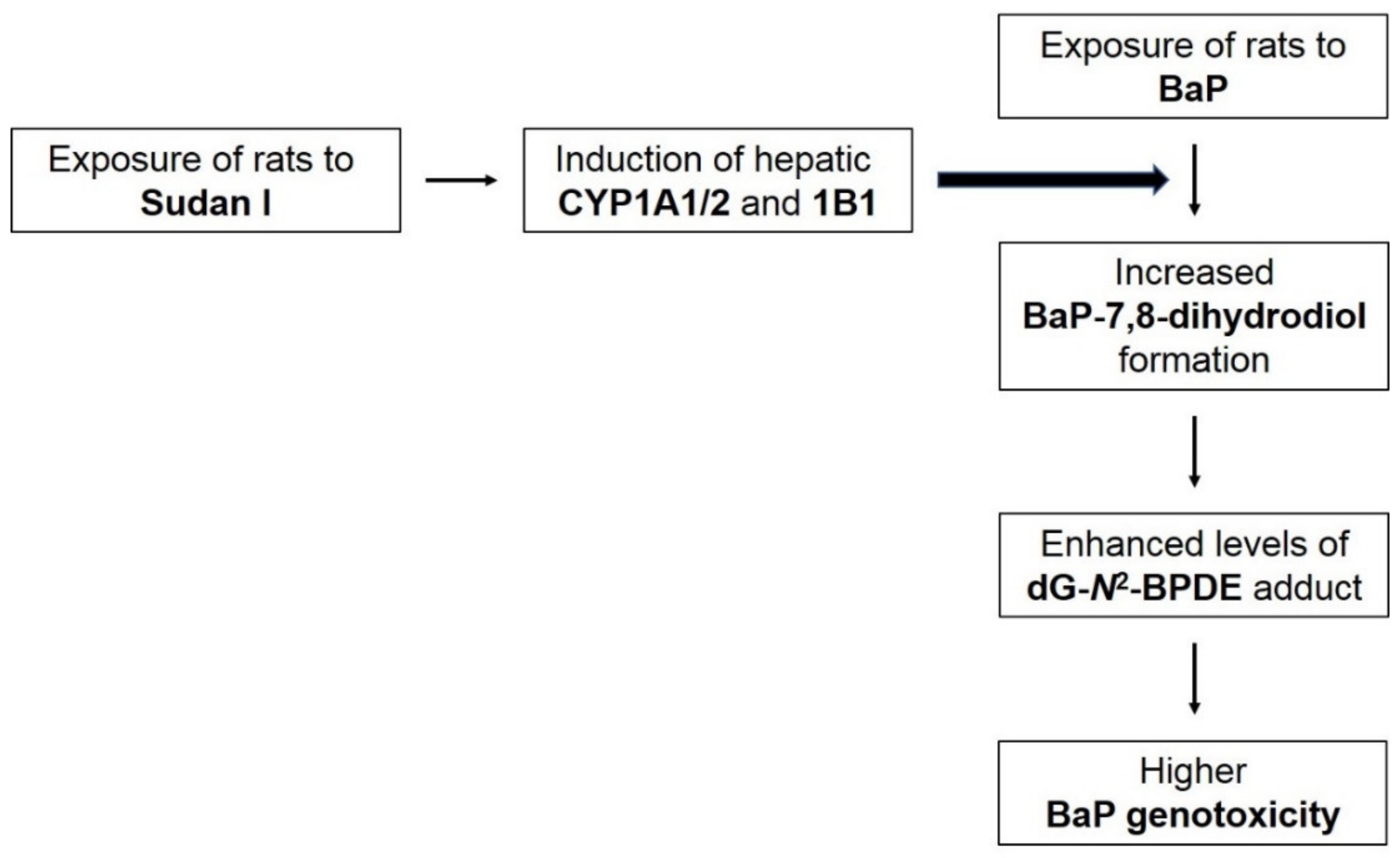 Ijms 22 08062 g009 550