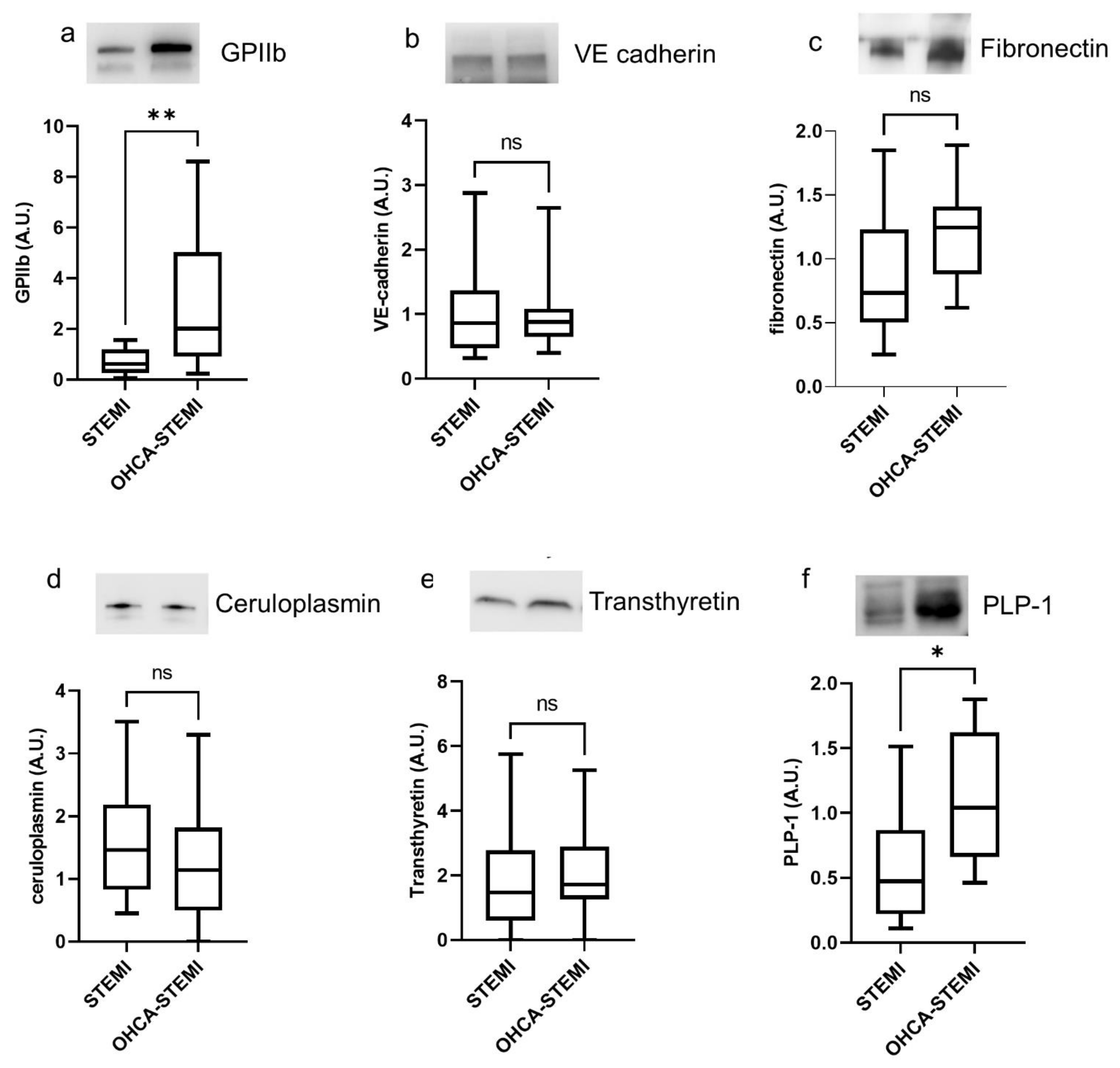 Ijms 22 08065 g004 550