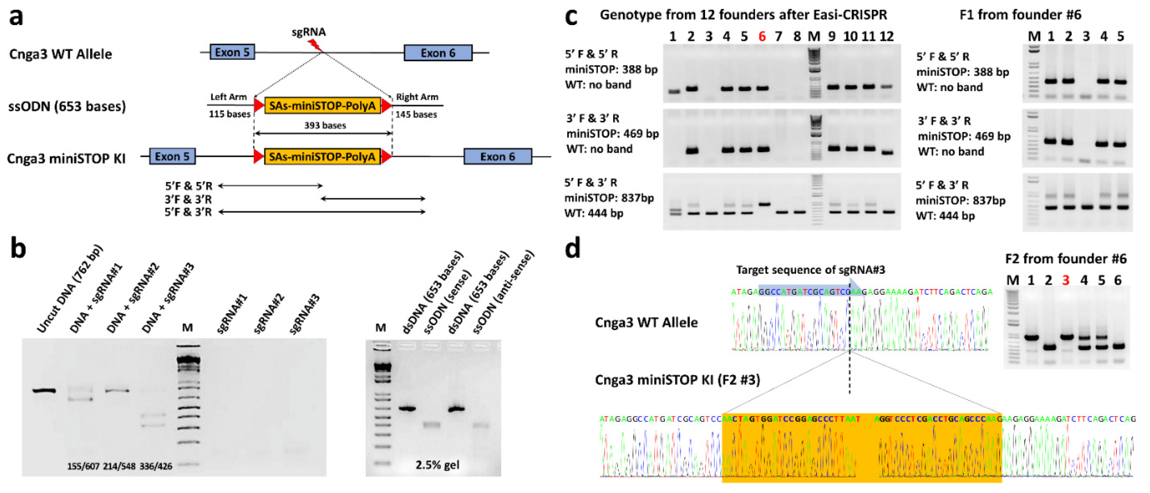 Ijms 22 08069 g002 Ijms 22 08069 g002