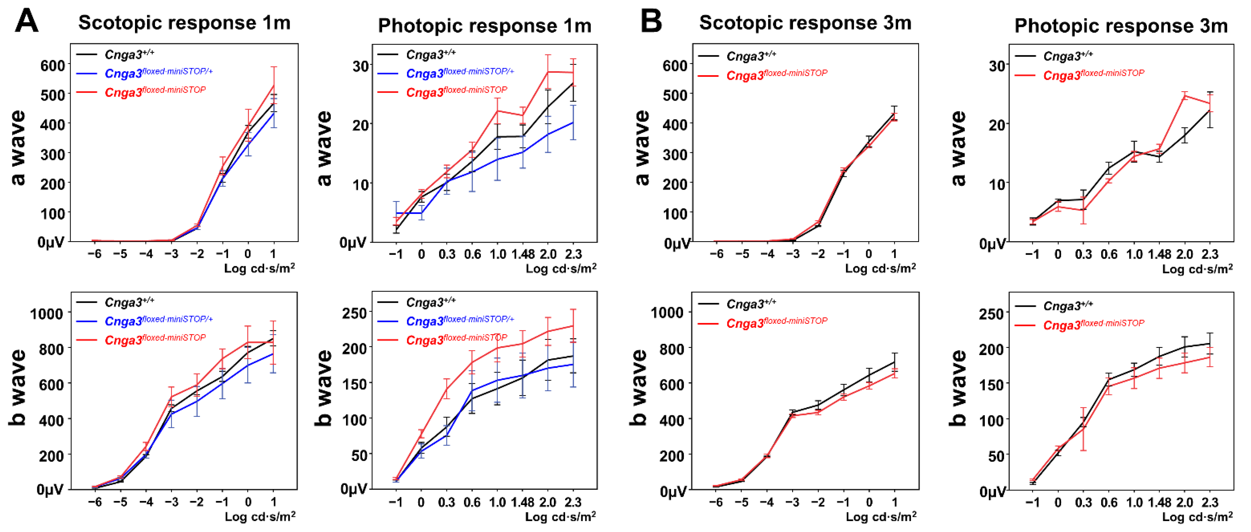Ijms 22 08069 g003 Ijms 22 08069 g003