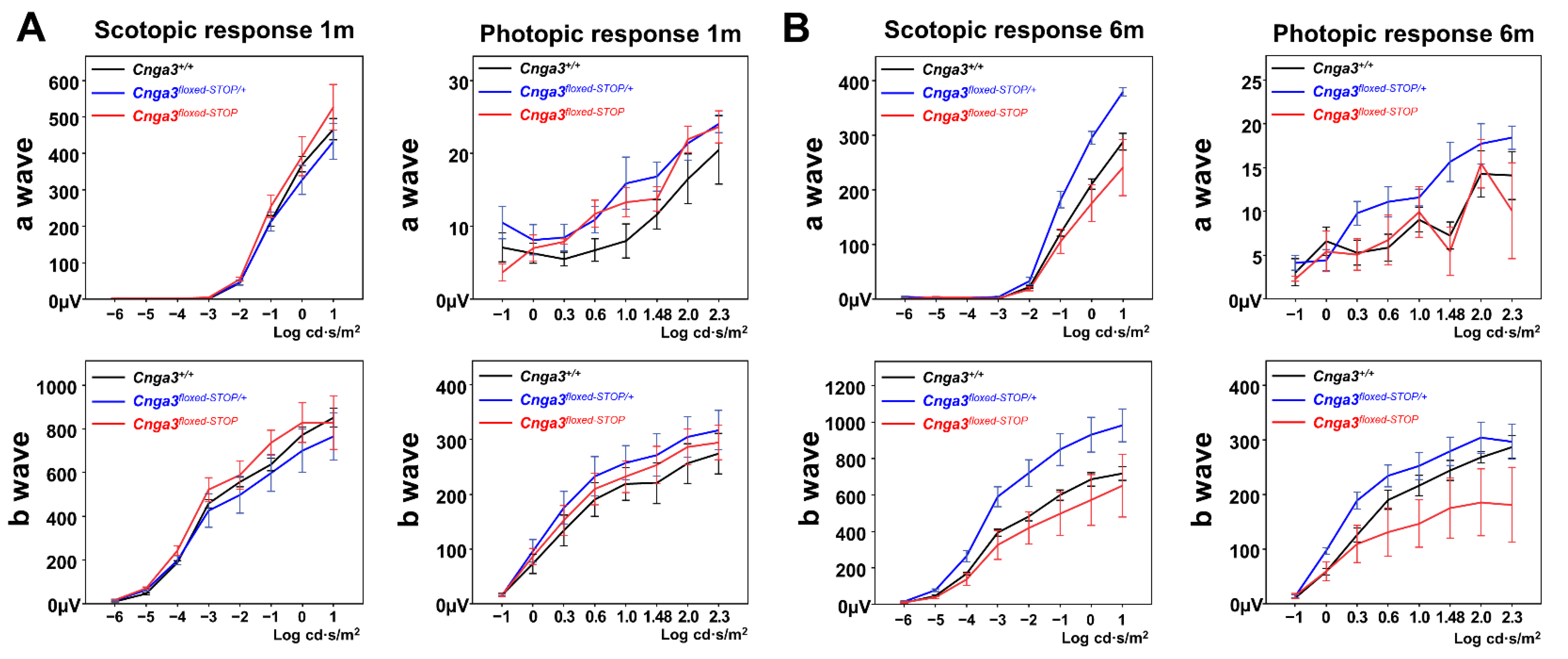 Ijms 22 08069 g005 Ijms 22 08069 g005