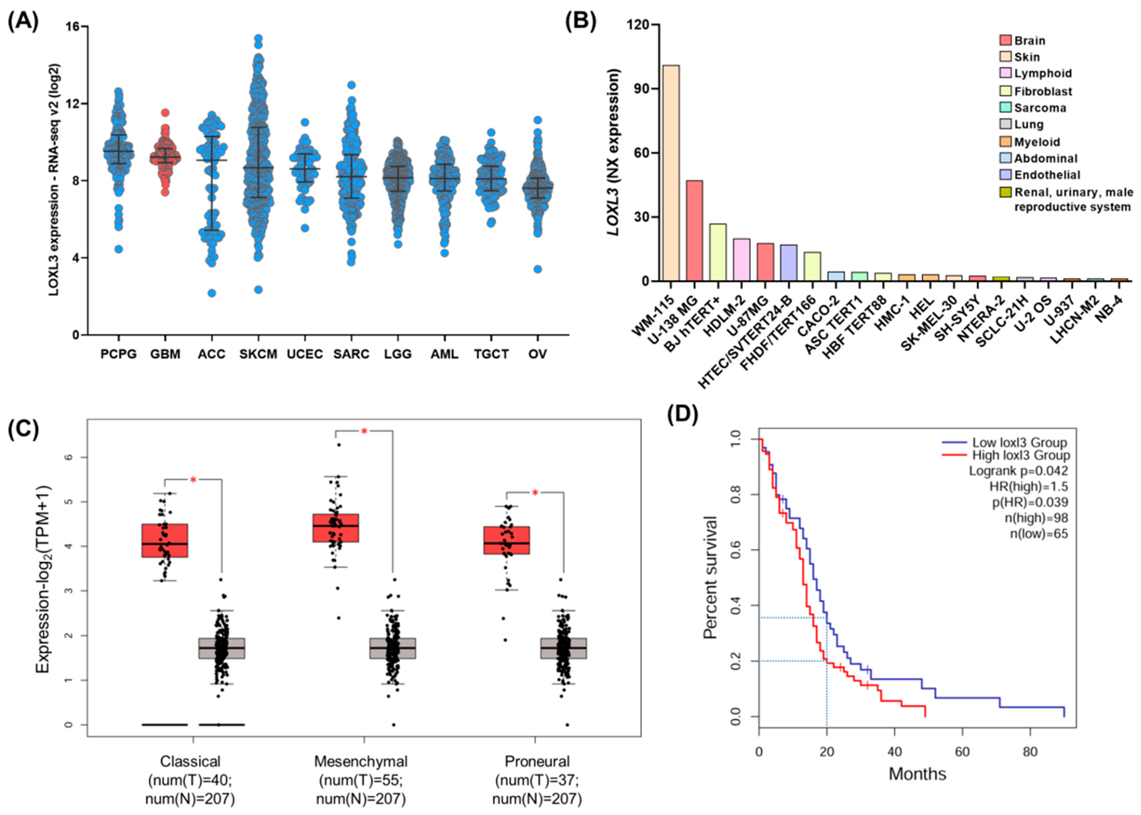 Ijms 22 08072 g001 Ijms 22 08072 g001
