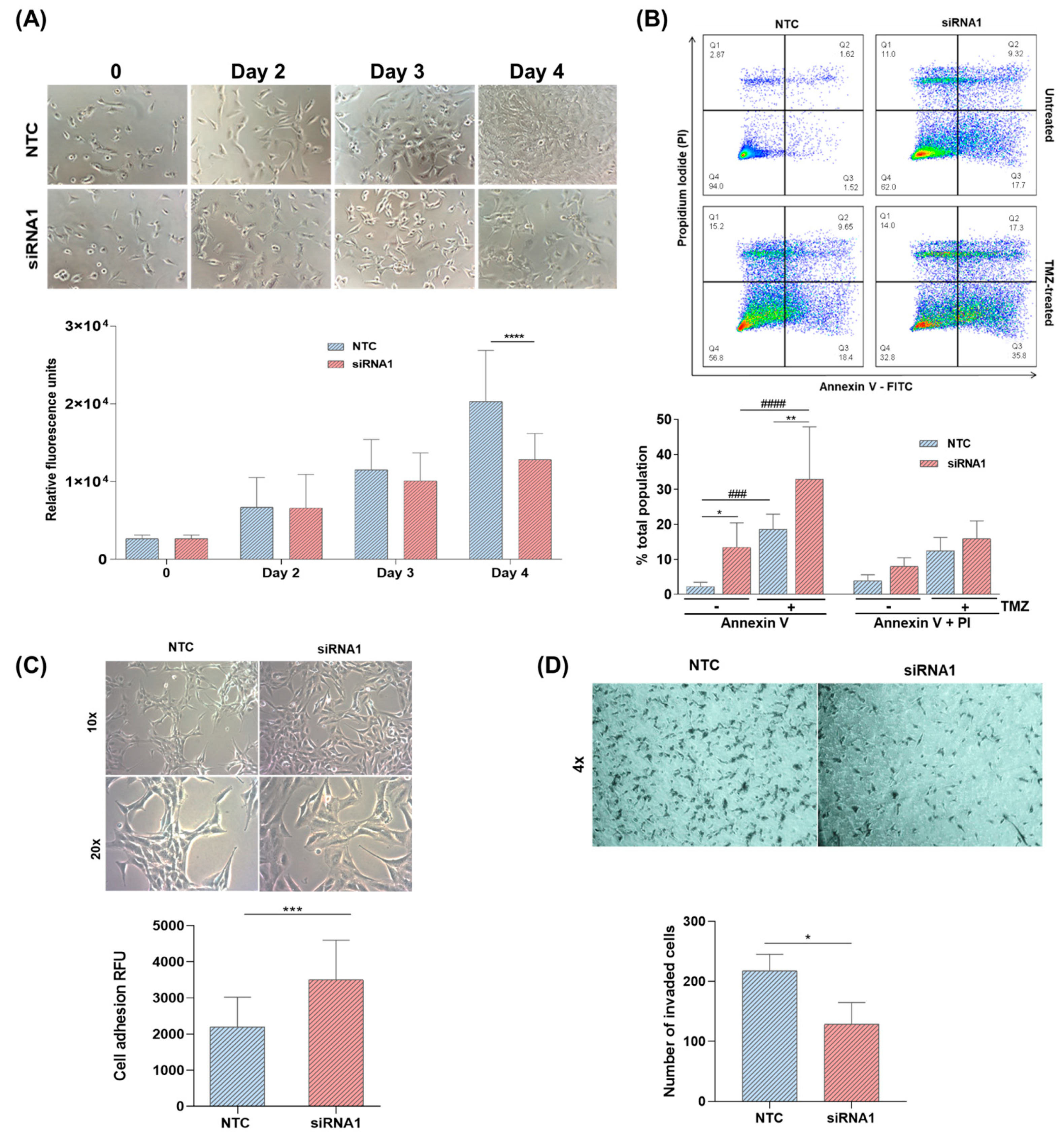 Ijms 22 08072 g004 Ijms 22 08072 g004
