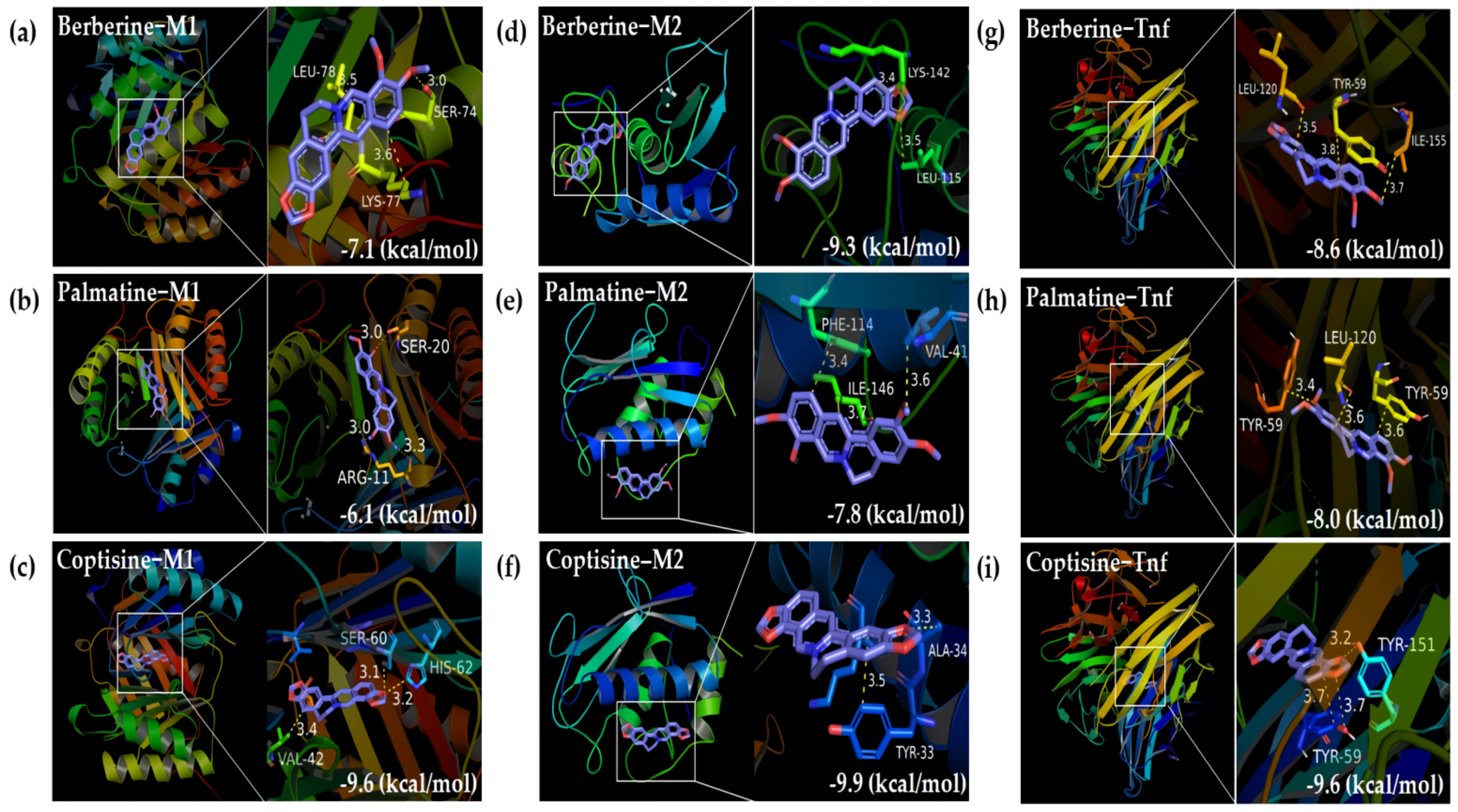 Ijms 22 08075 g003 550