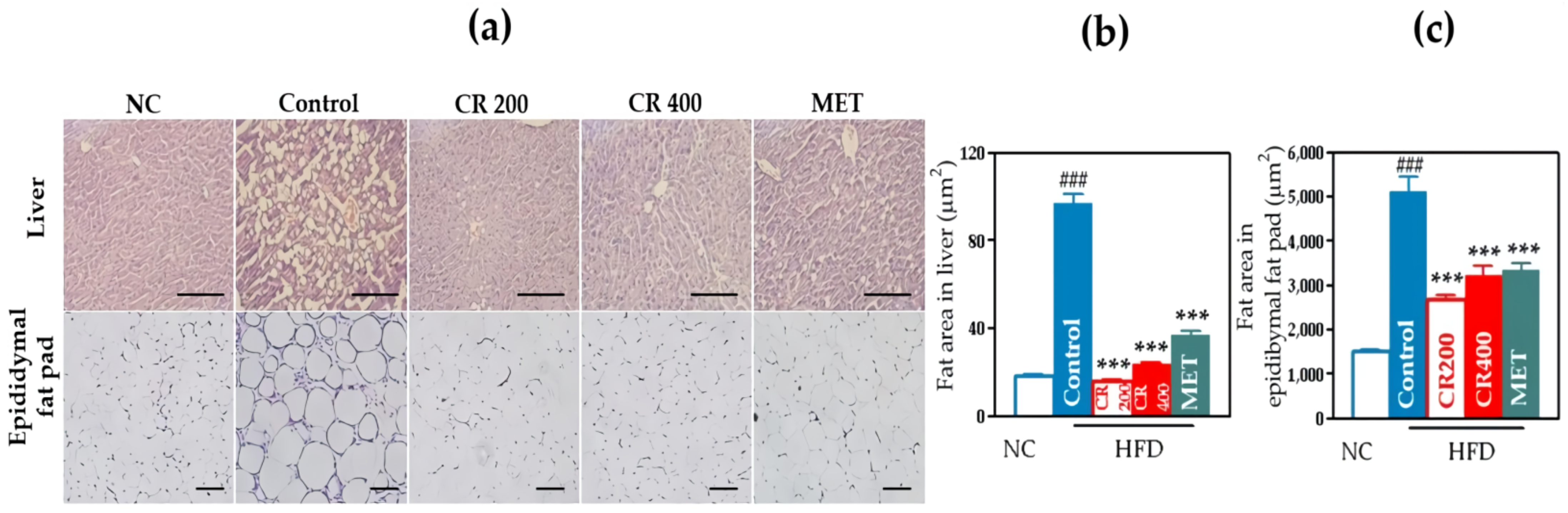 Ijms 22 08075 g007 550