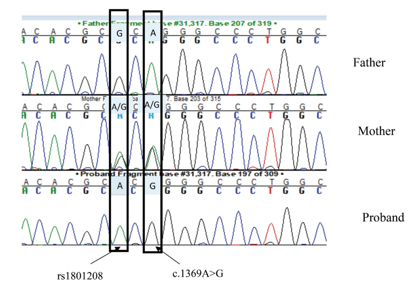 Ijms 22 08082 g001 550