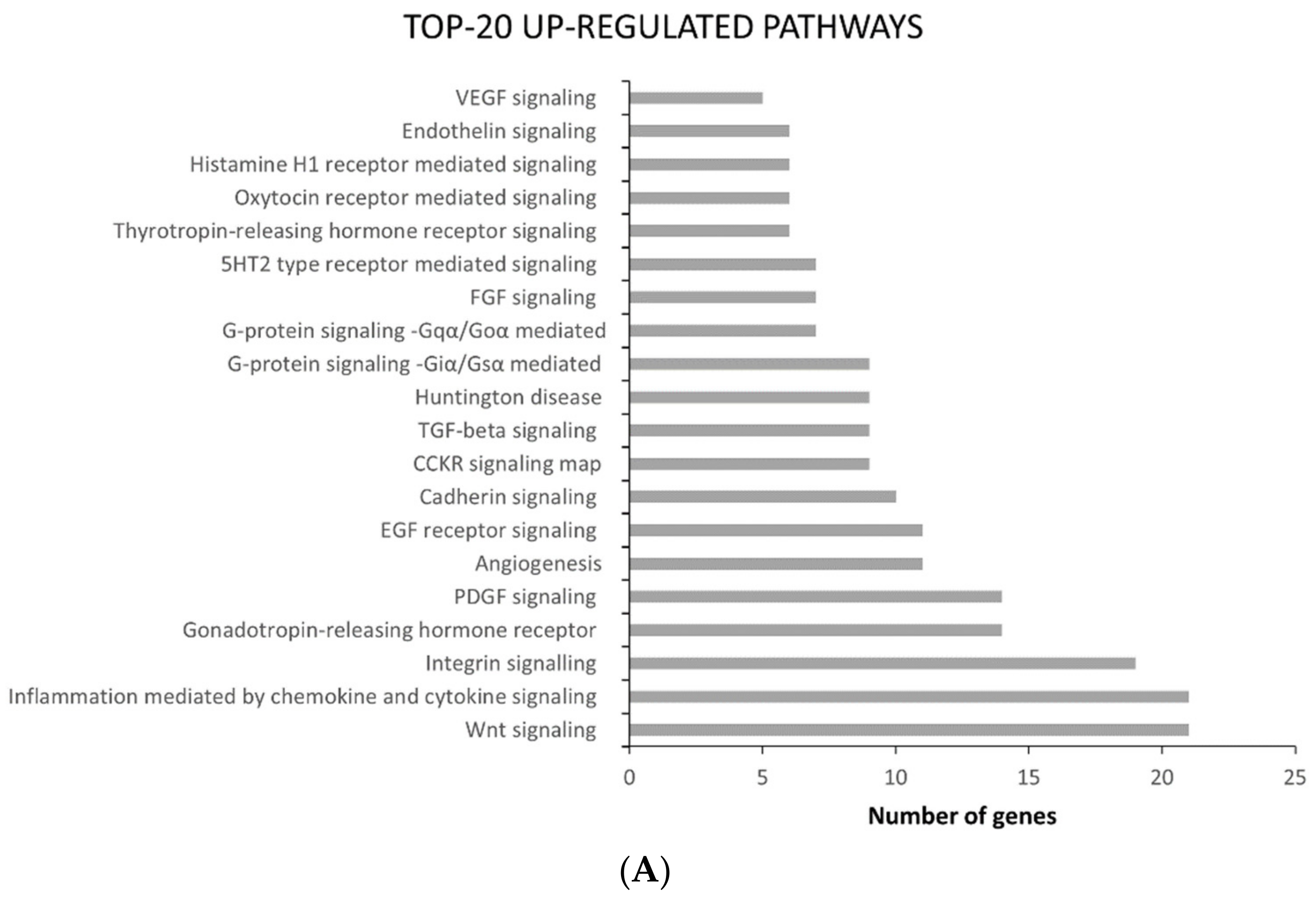Ijms 22 08083 g003a Ijms 22 08083 g003a