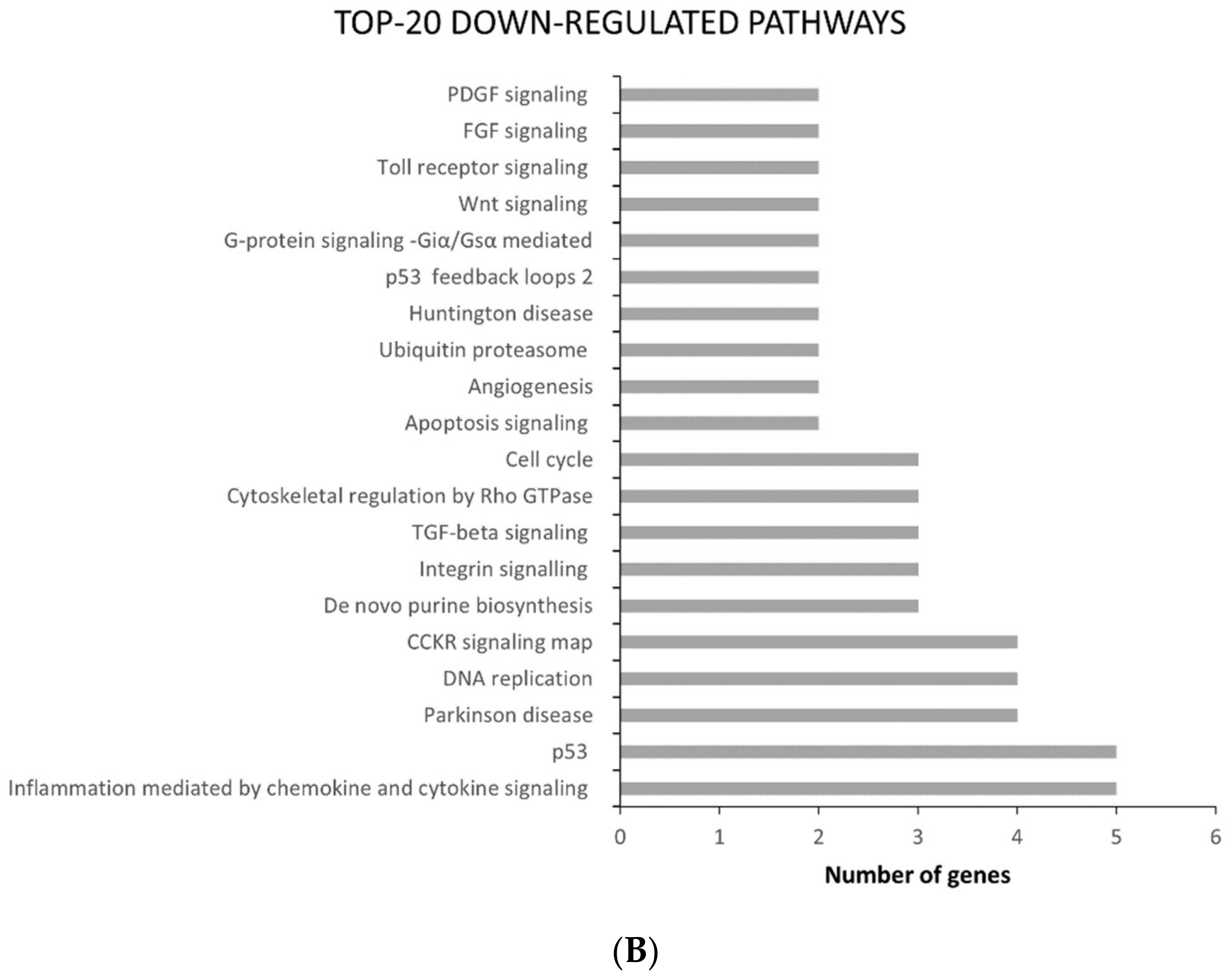 Ijms 22 08083 g003b Ijms 22 08083 g003b