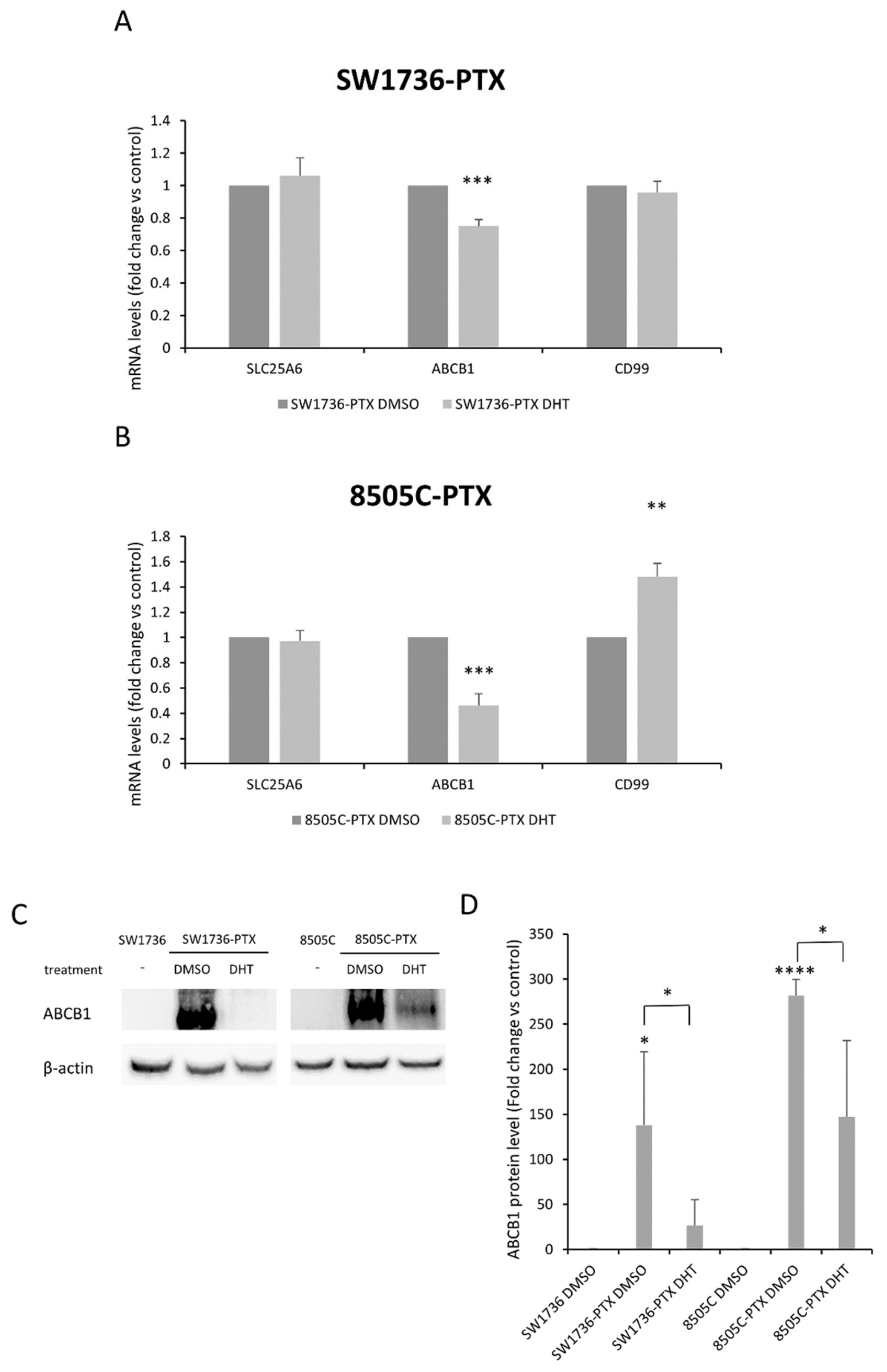 Ijms 22 08083 g006 Ijms 22 08083 g006