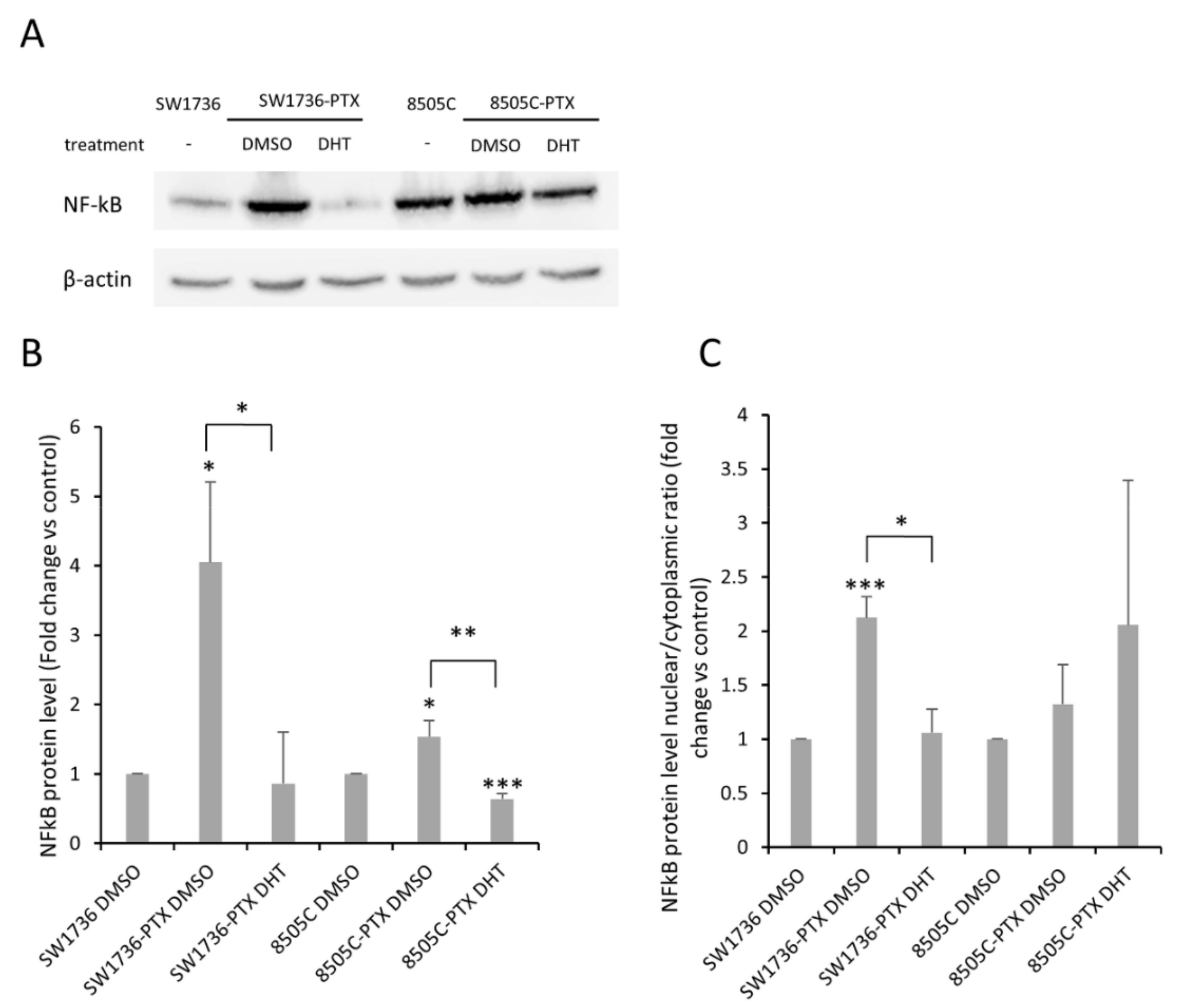 Ijms 22 08083 g007 Ijms 22 08083 g007