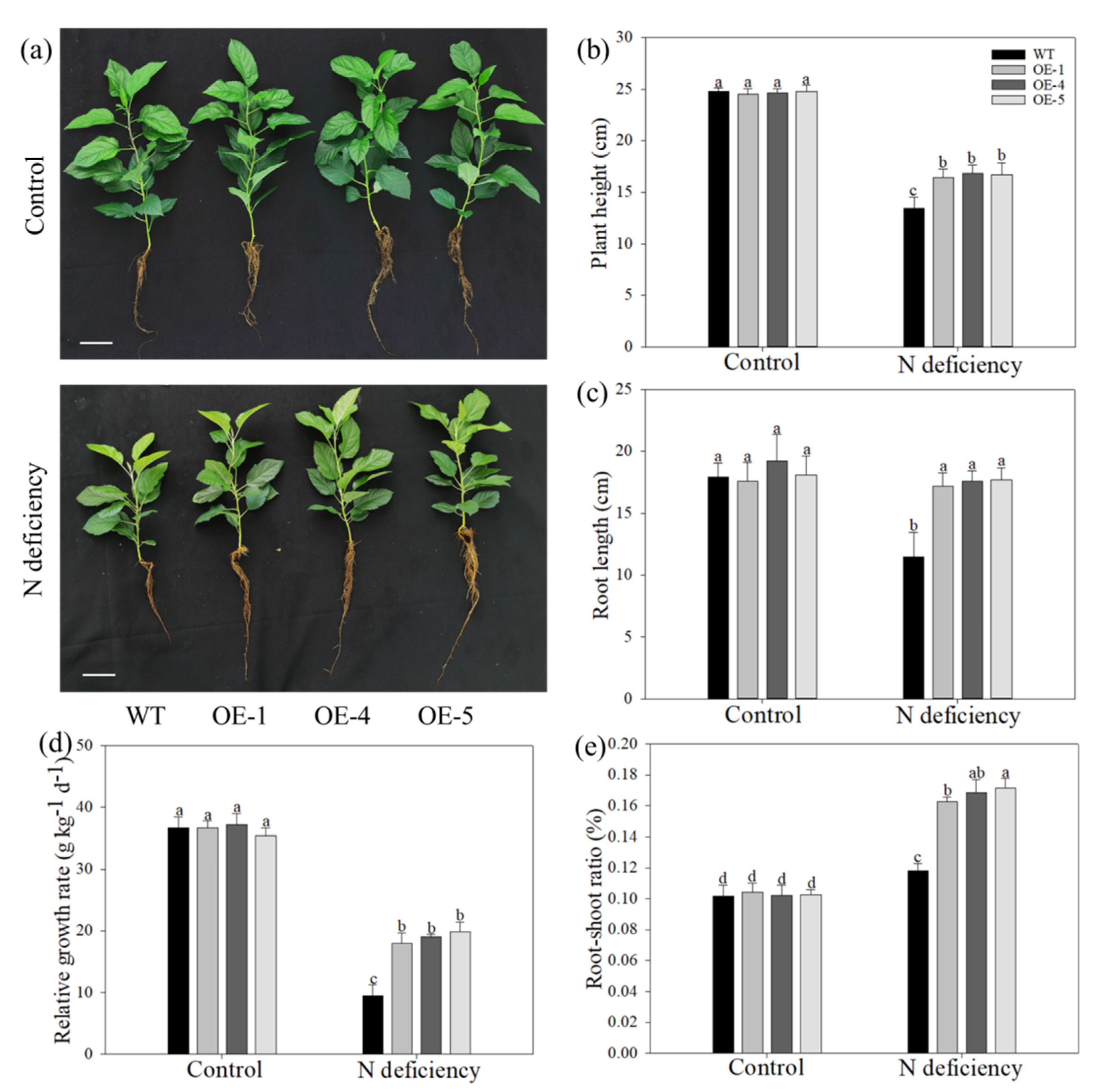 Ijms 22 08085 g002 550