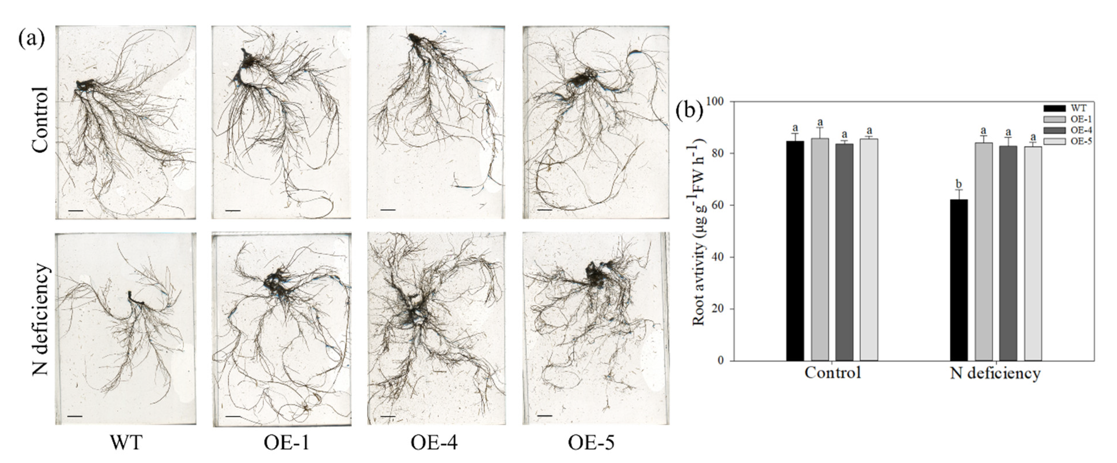 Ijms 22 08085 g004 550
