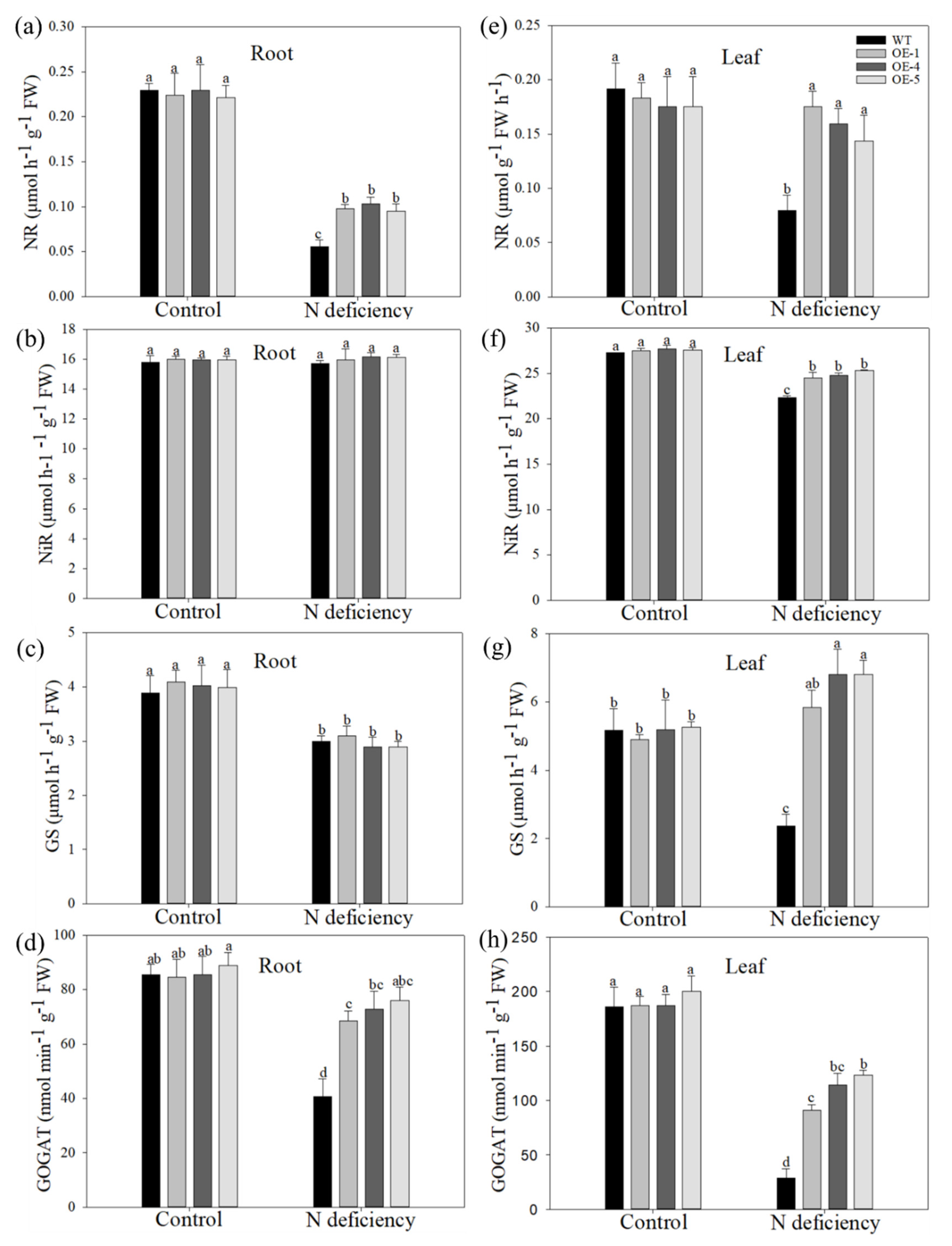 Ijms 22 08085 g006 550