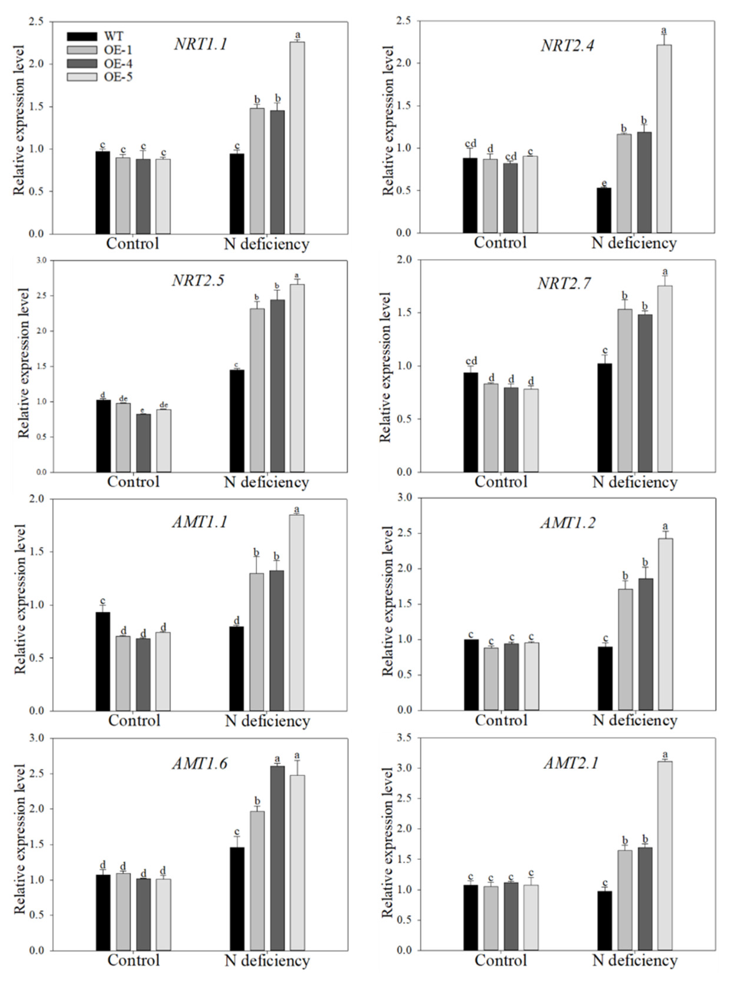 Ijms 22 08085 g007 550
