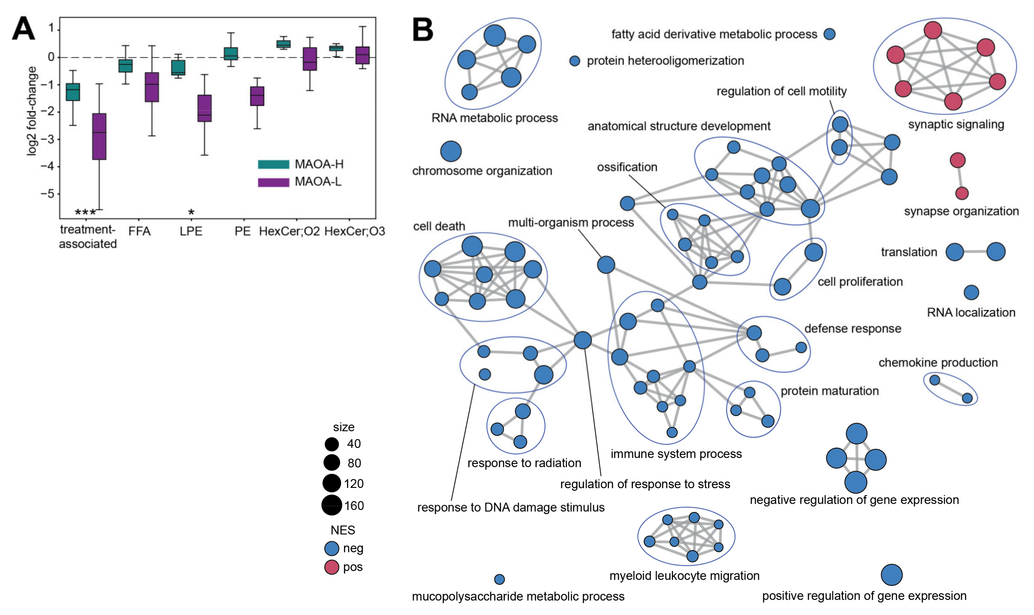 Ijms 22 08089 g003 Ijms 22 08089 g003