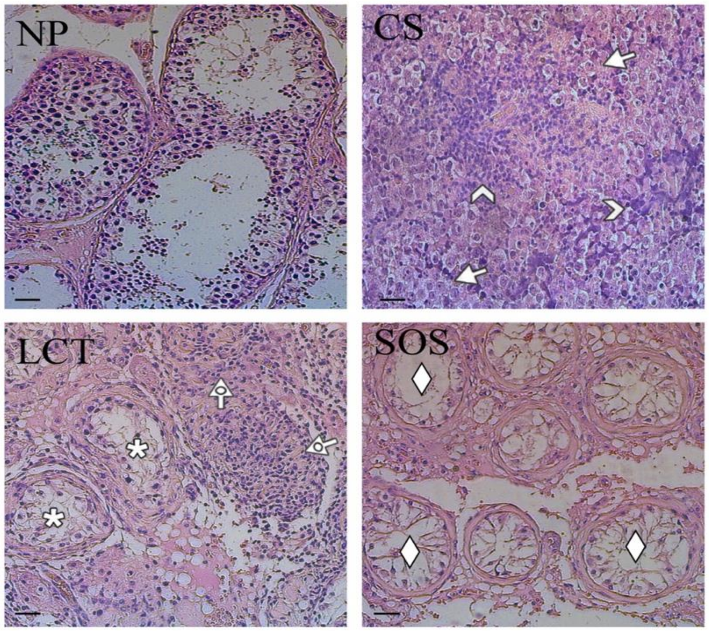 Ijms 22 08094 g001 550