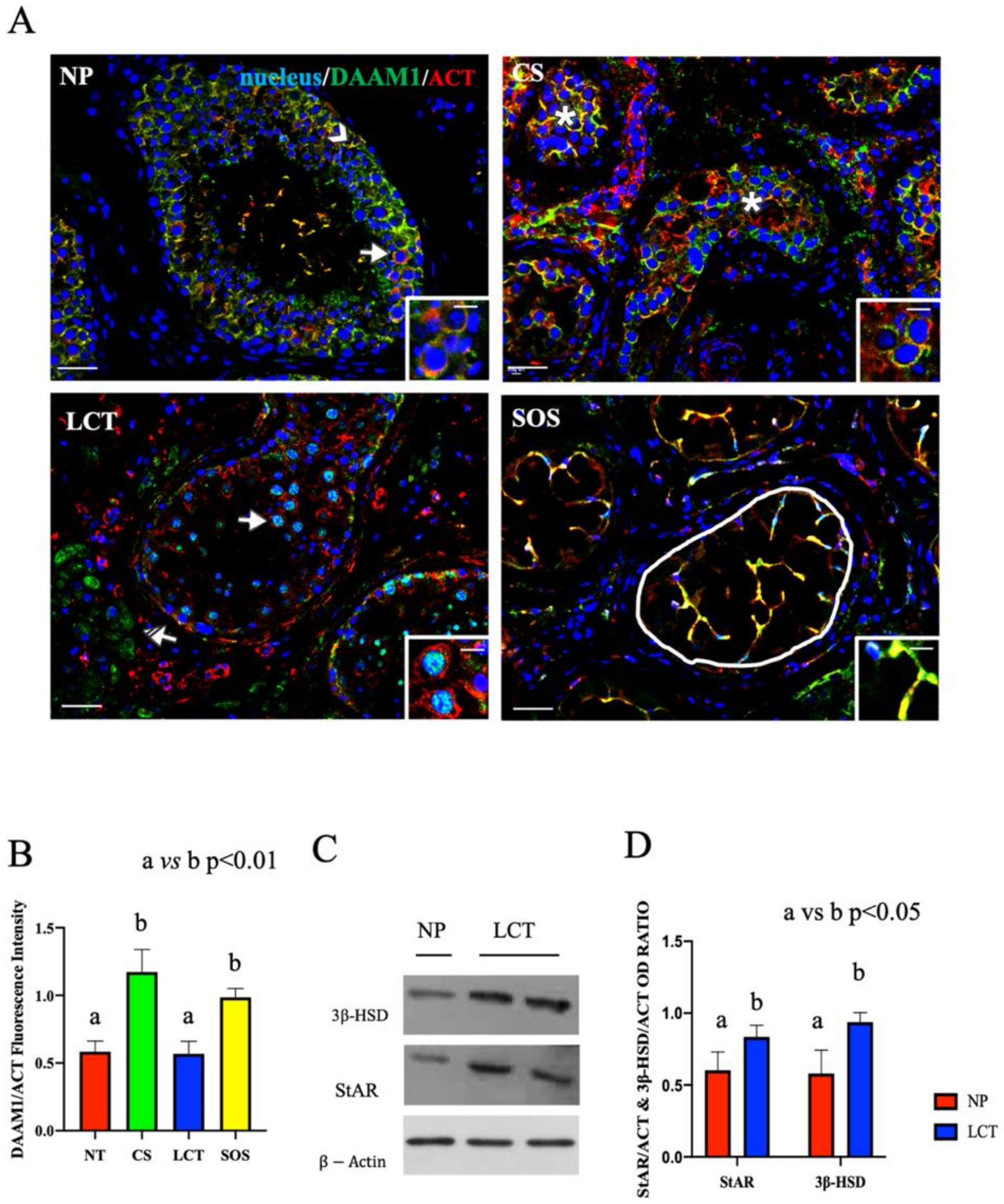 Ijms 22 08094 g003 550