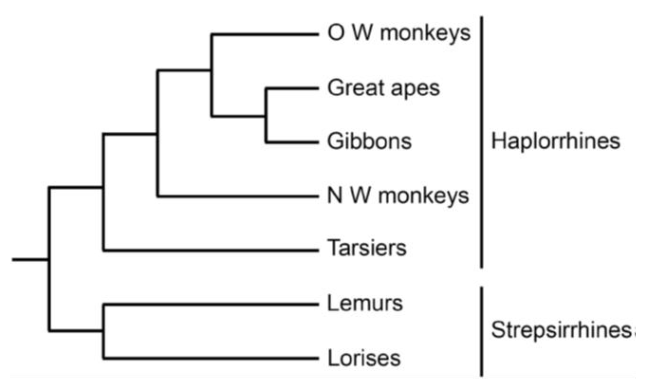 Ijms 22 08099 g002 Ijms 22 08099 g002