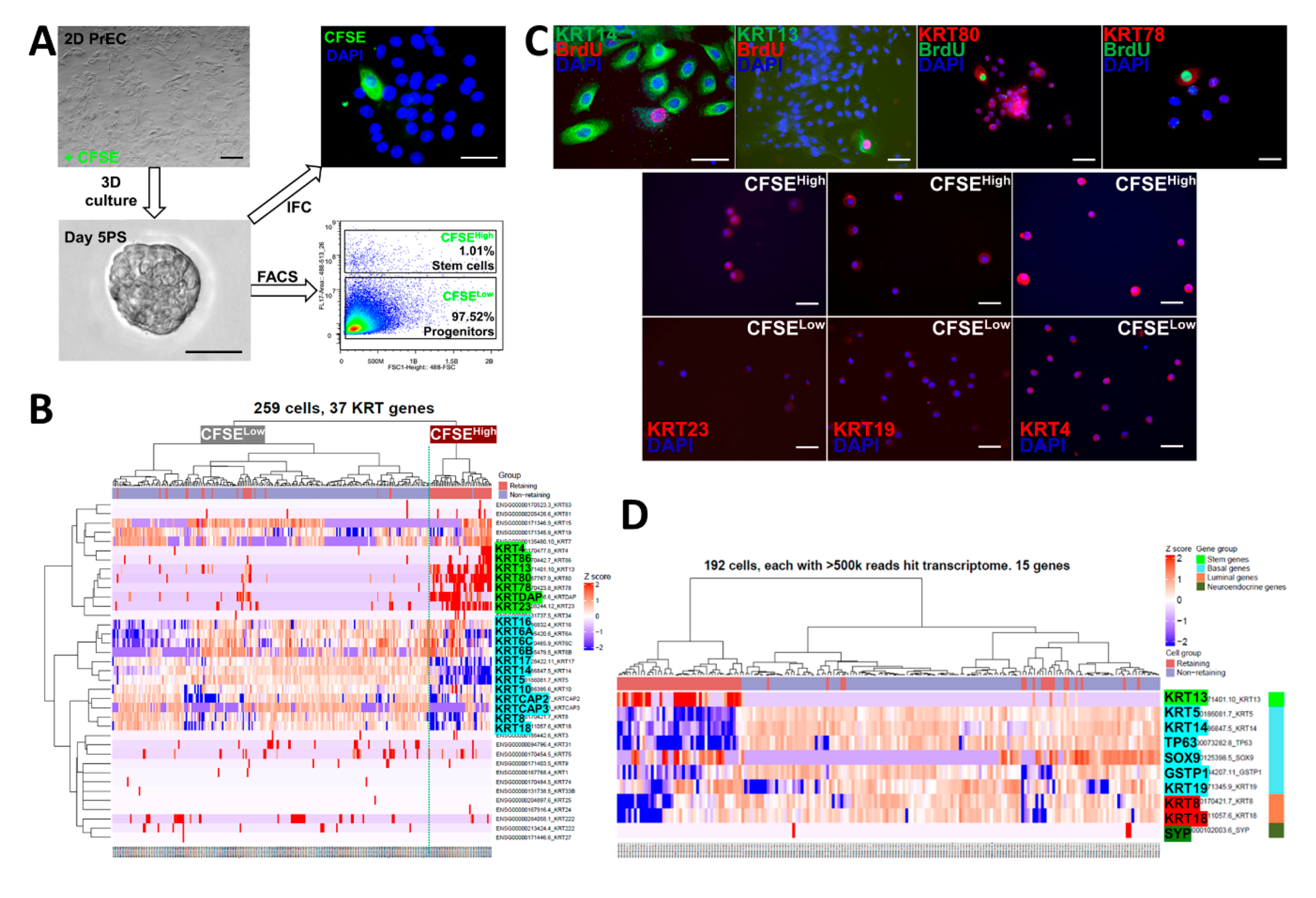 Ijms 22 08109 g001 550
