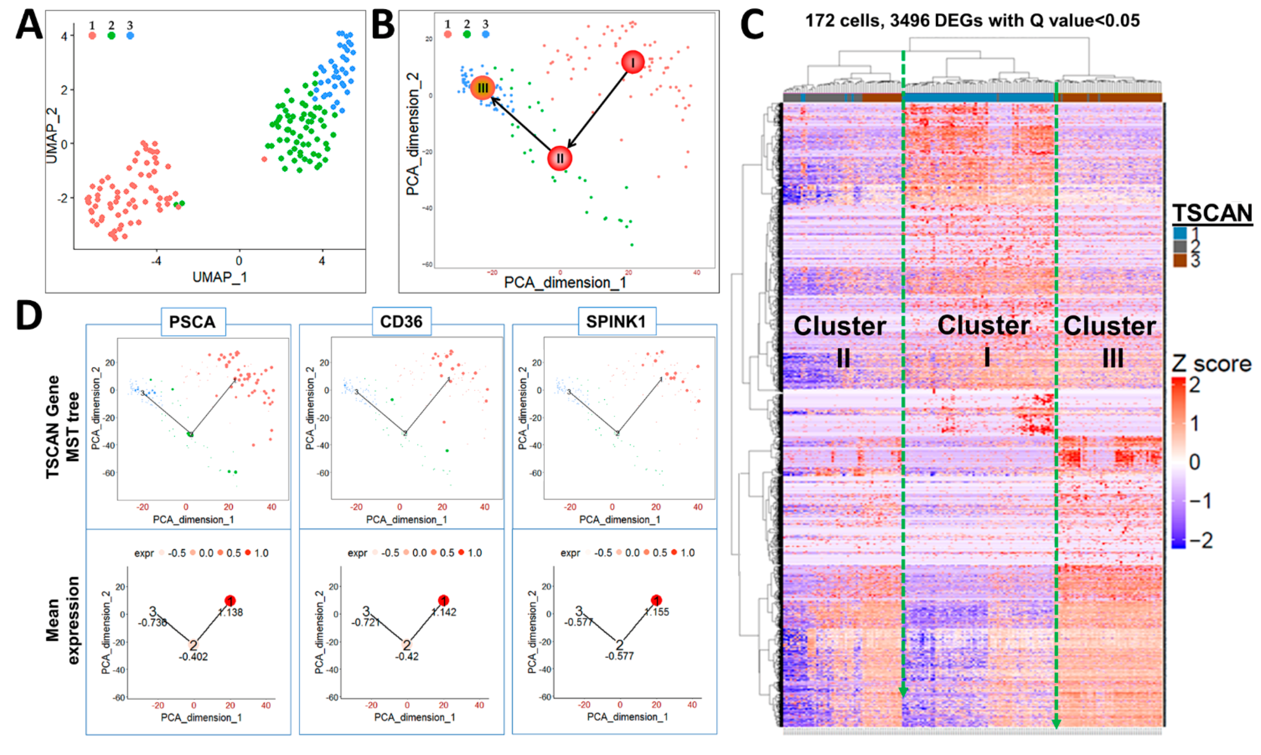Ijms 22 08109 g002 550