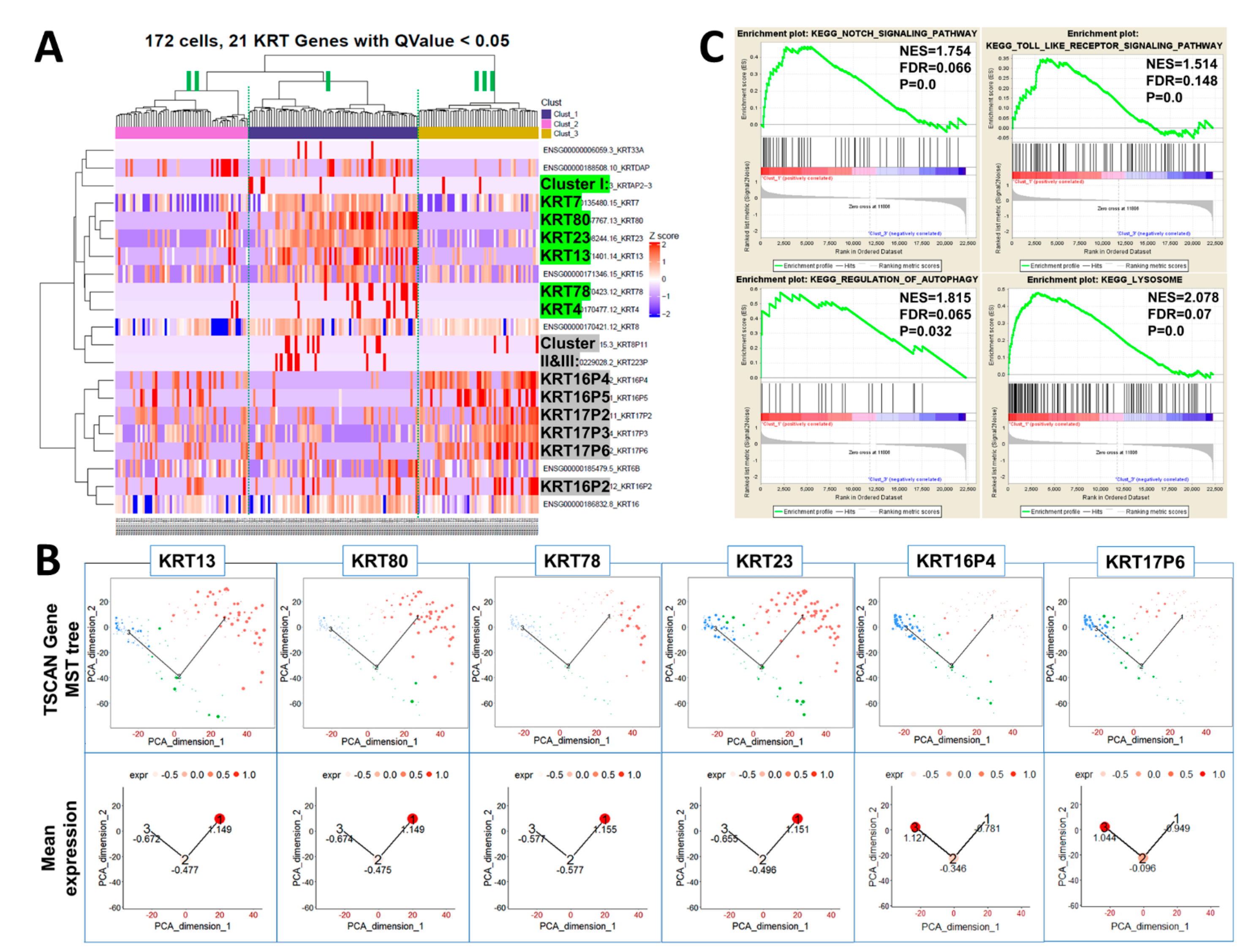 Ijms 22 08109 g003 550