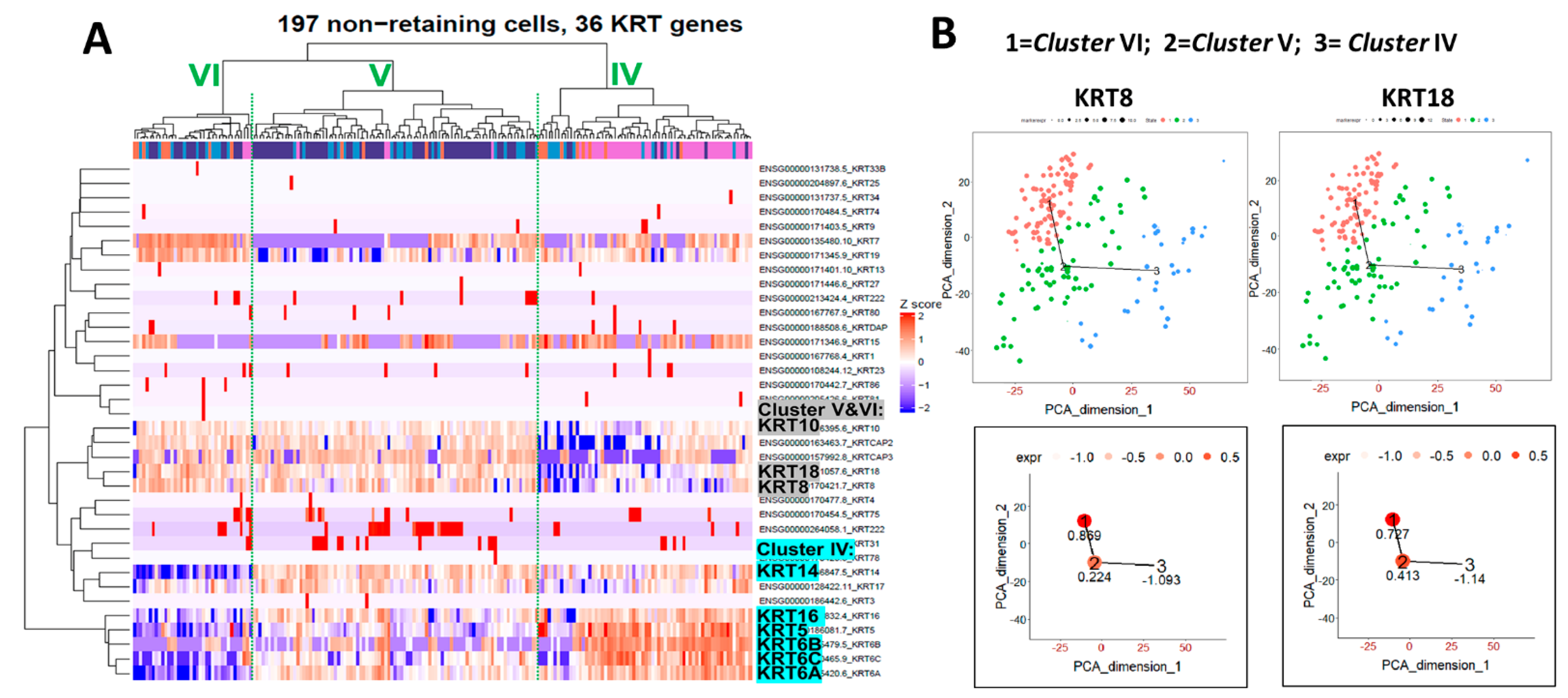 Ijms 22 08109 g004 550