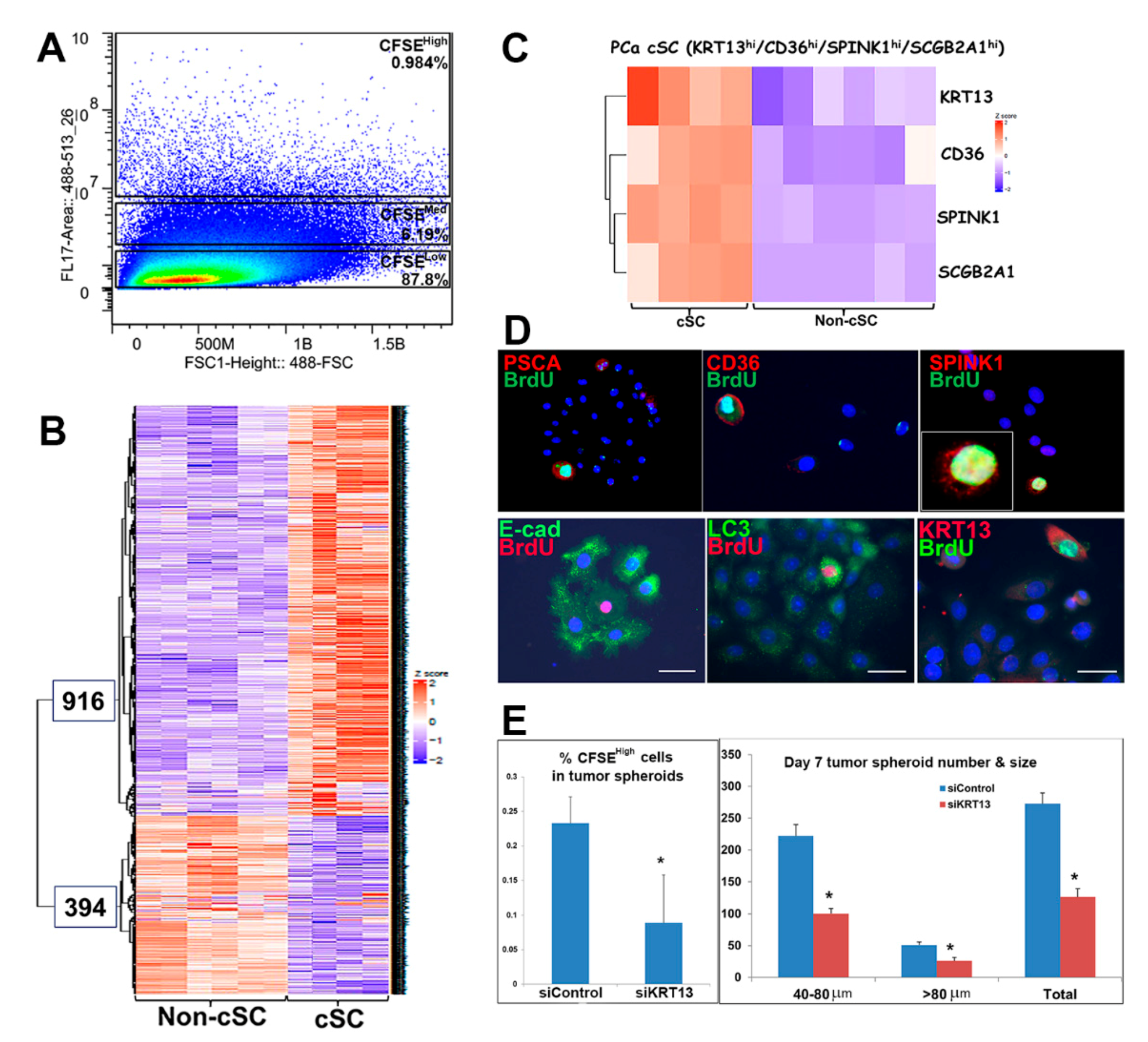 Ijms 22 08109 g005 550