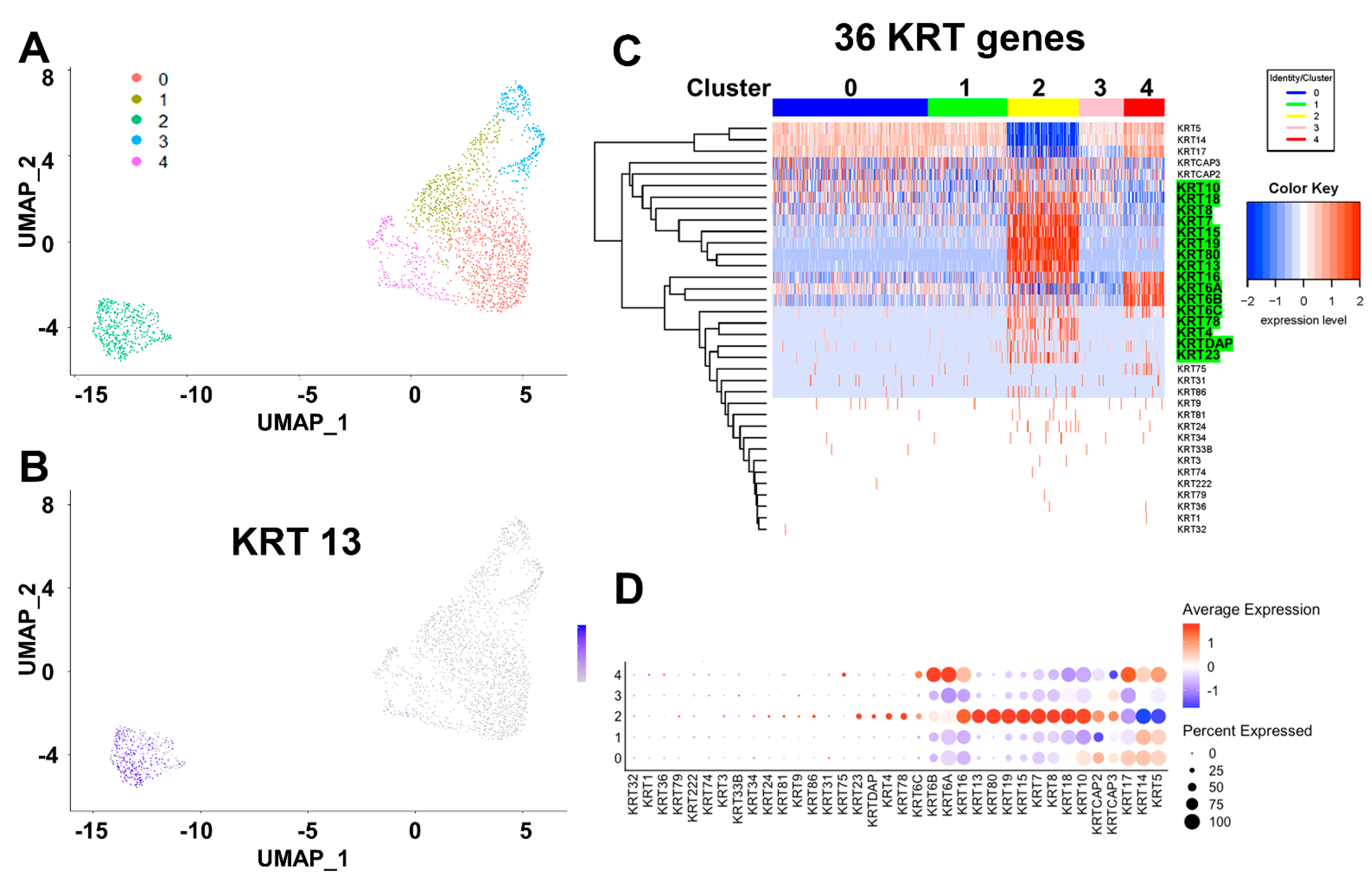 Ijms 22 08109 g007 550