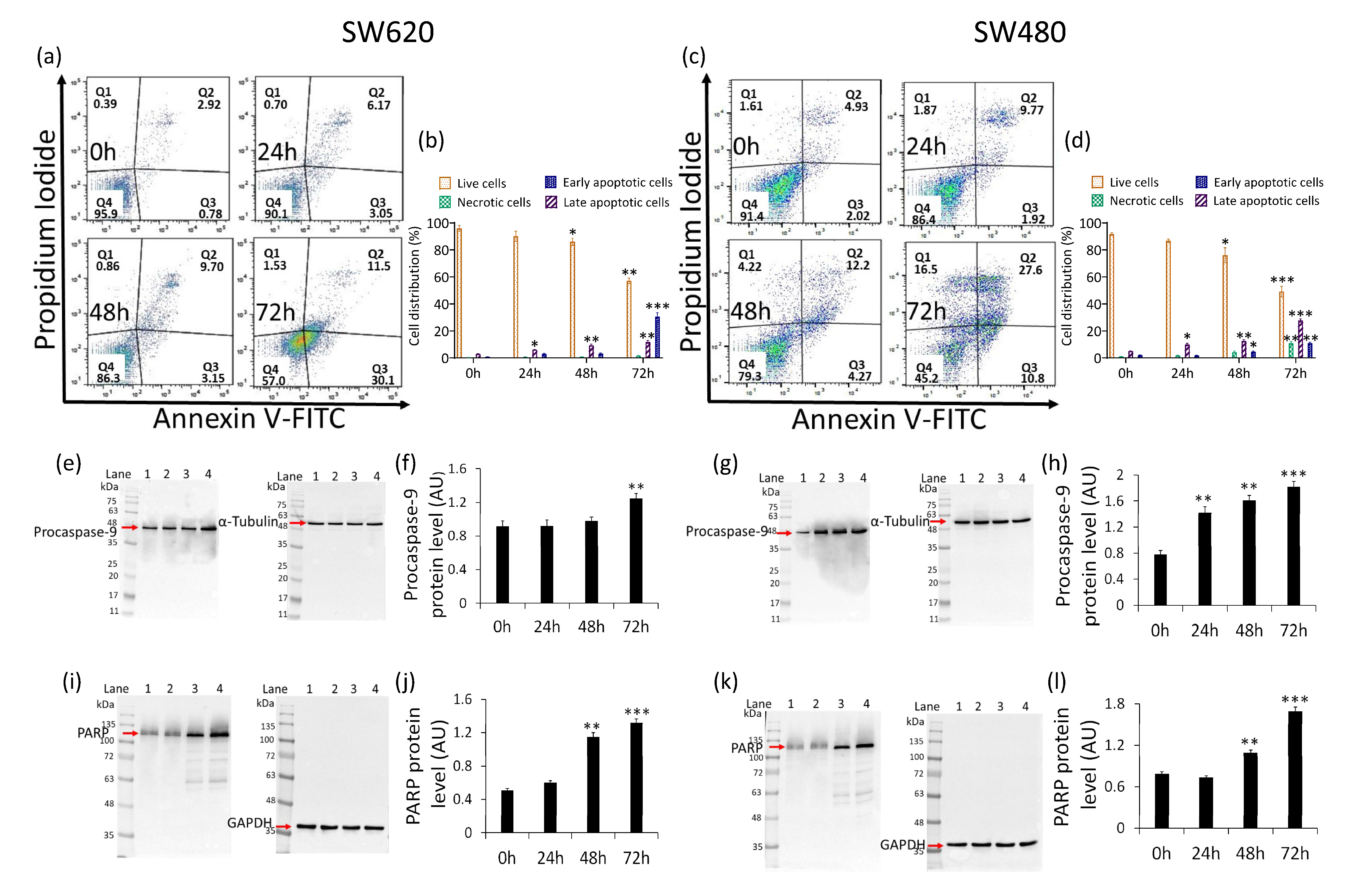 Ijms 22 08117 g006 550