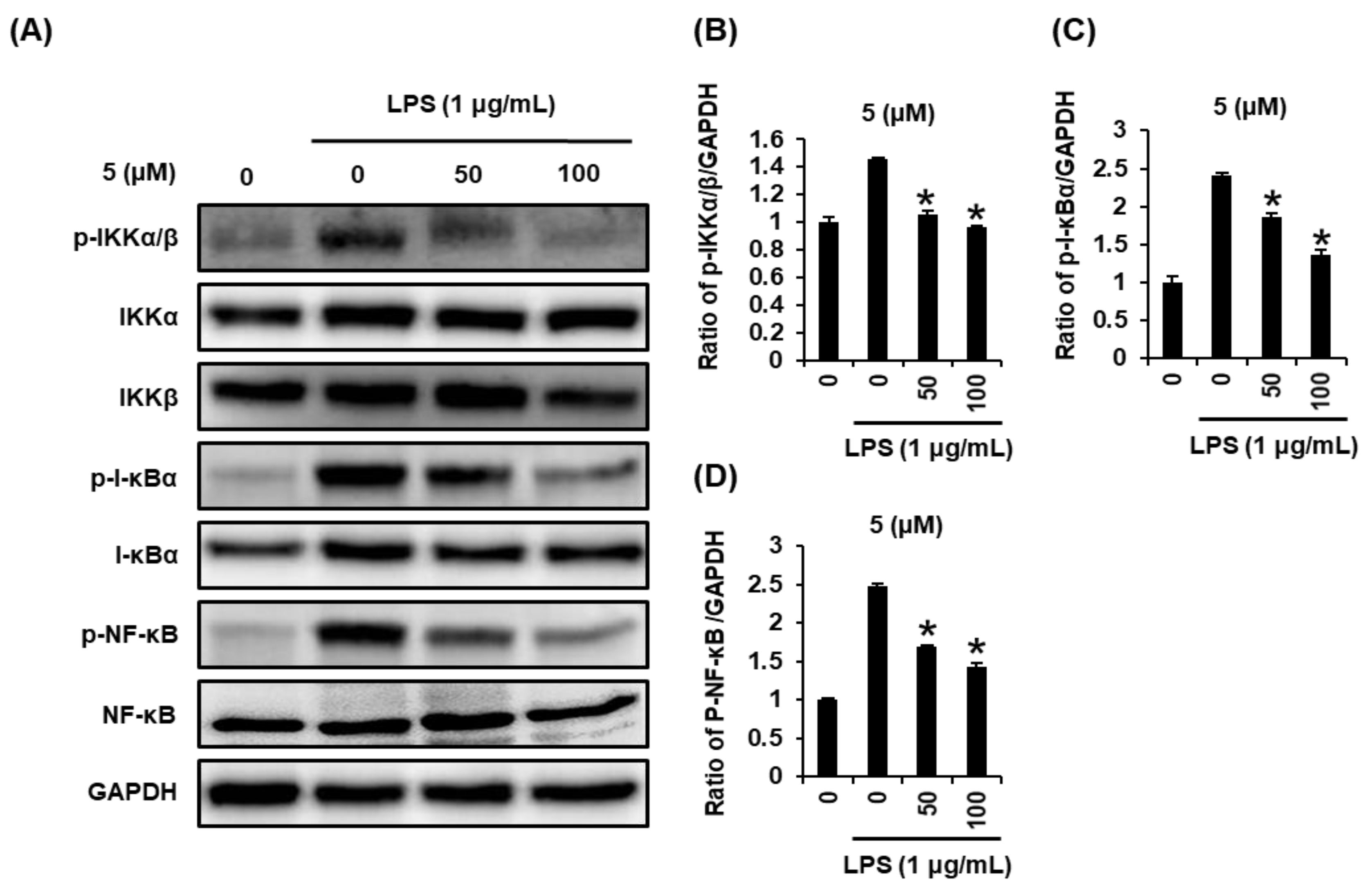 Ijms 22 08120 g004 550
