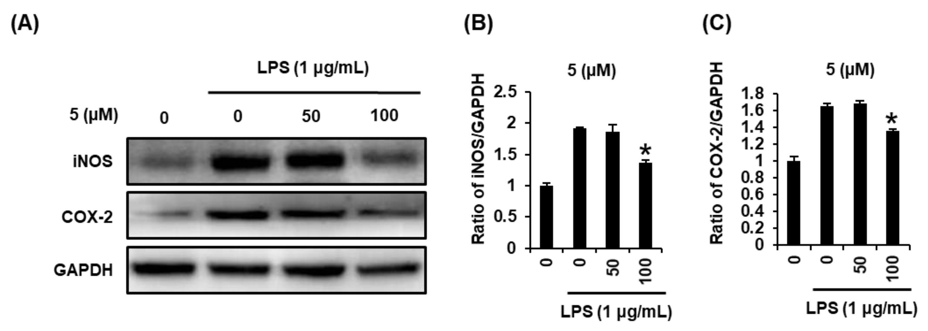 Ijms 22 08120 g005 550