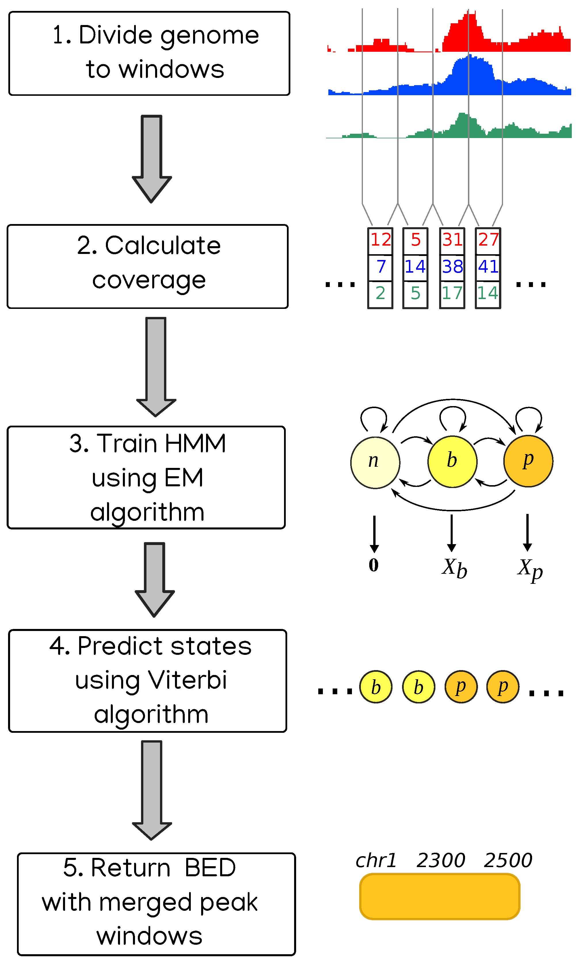 Ijms 22 08123 g001 550