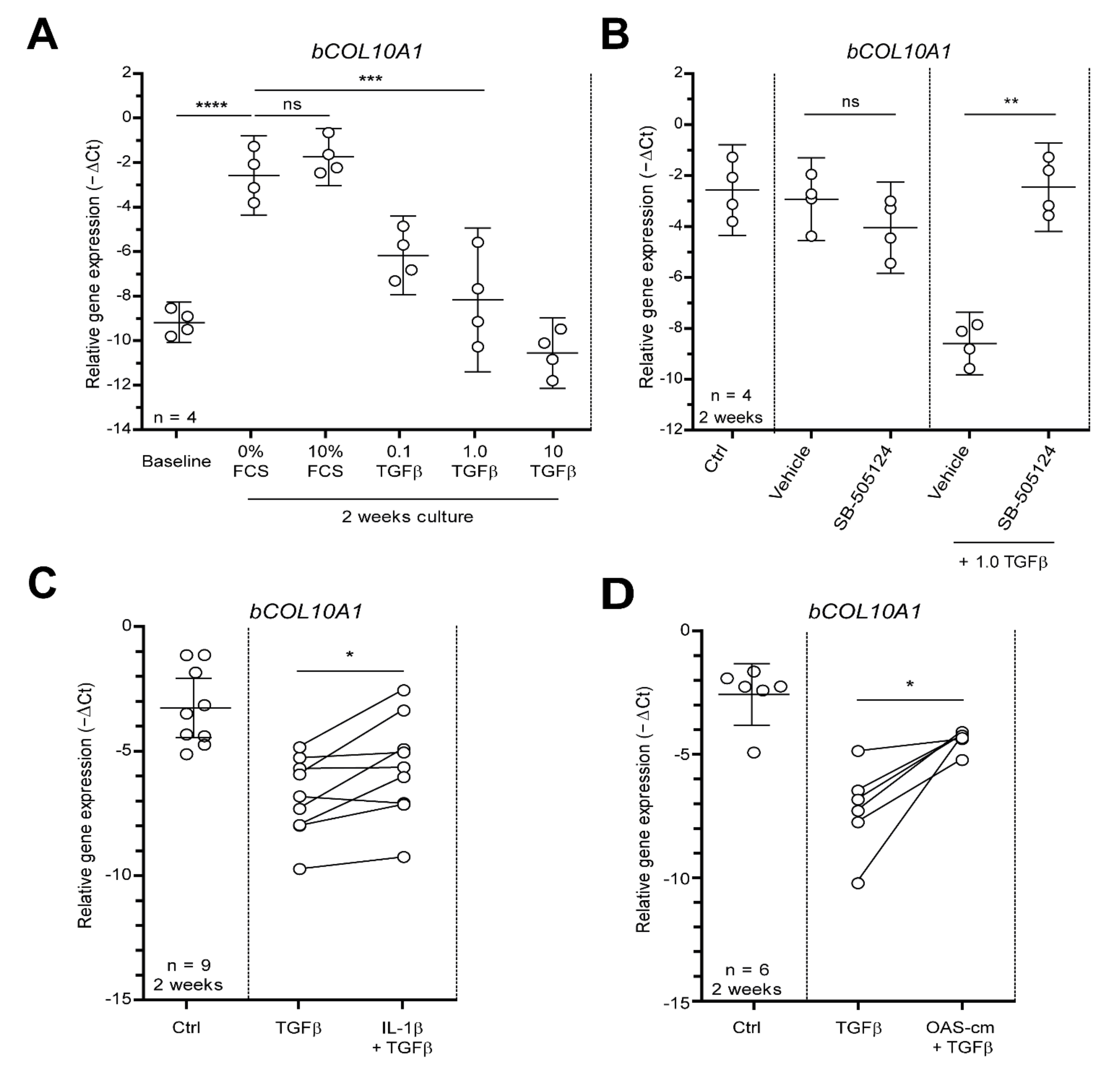Ijms 22 08124 g001 Ijms 22 08124 g001