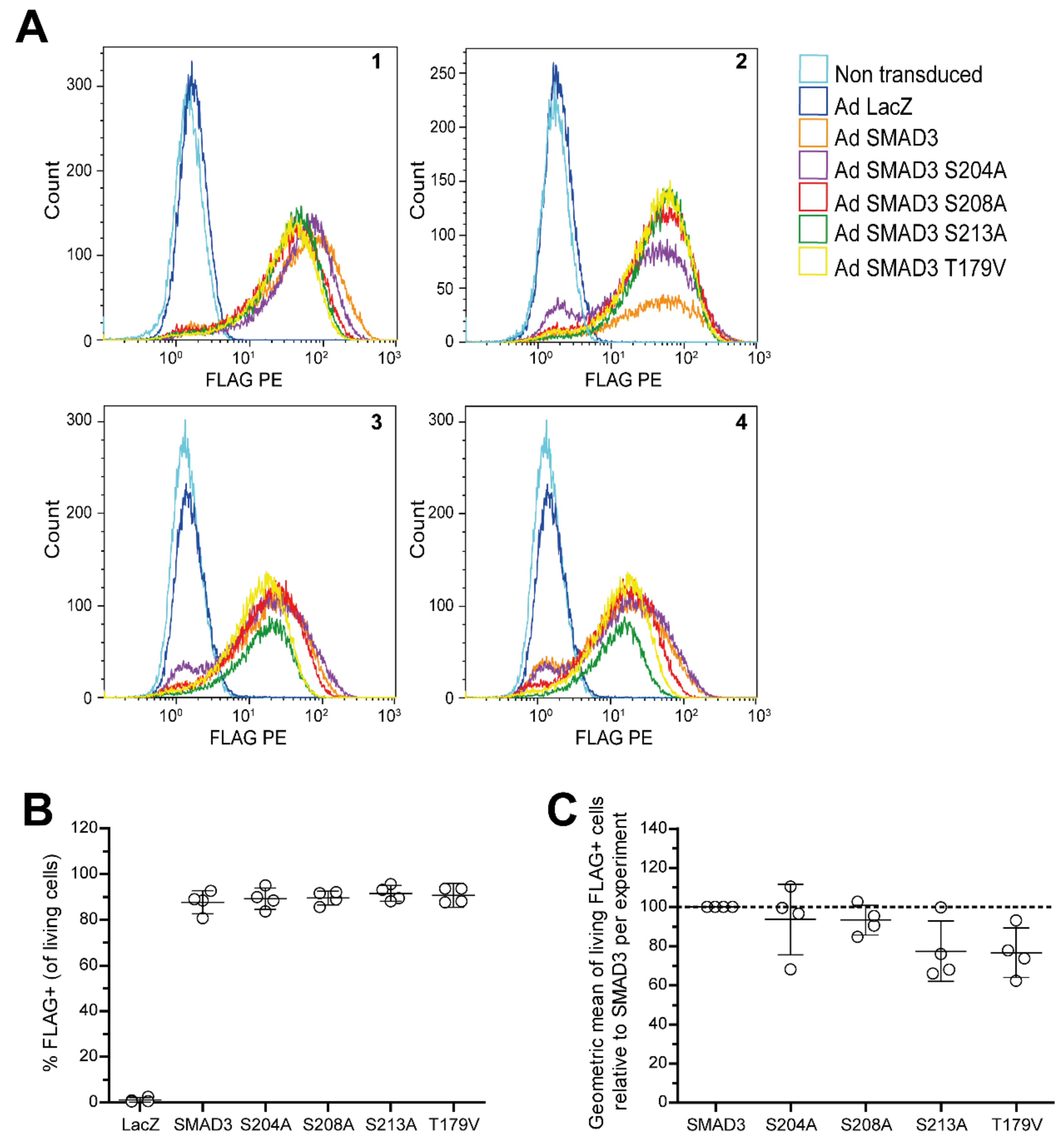 Ijms 22 08124 sch0a3 Ijms 22 08124 sch0a3