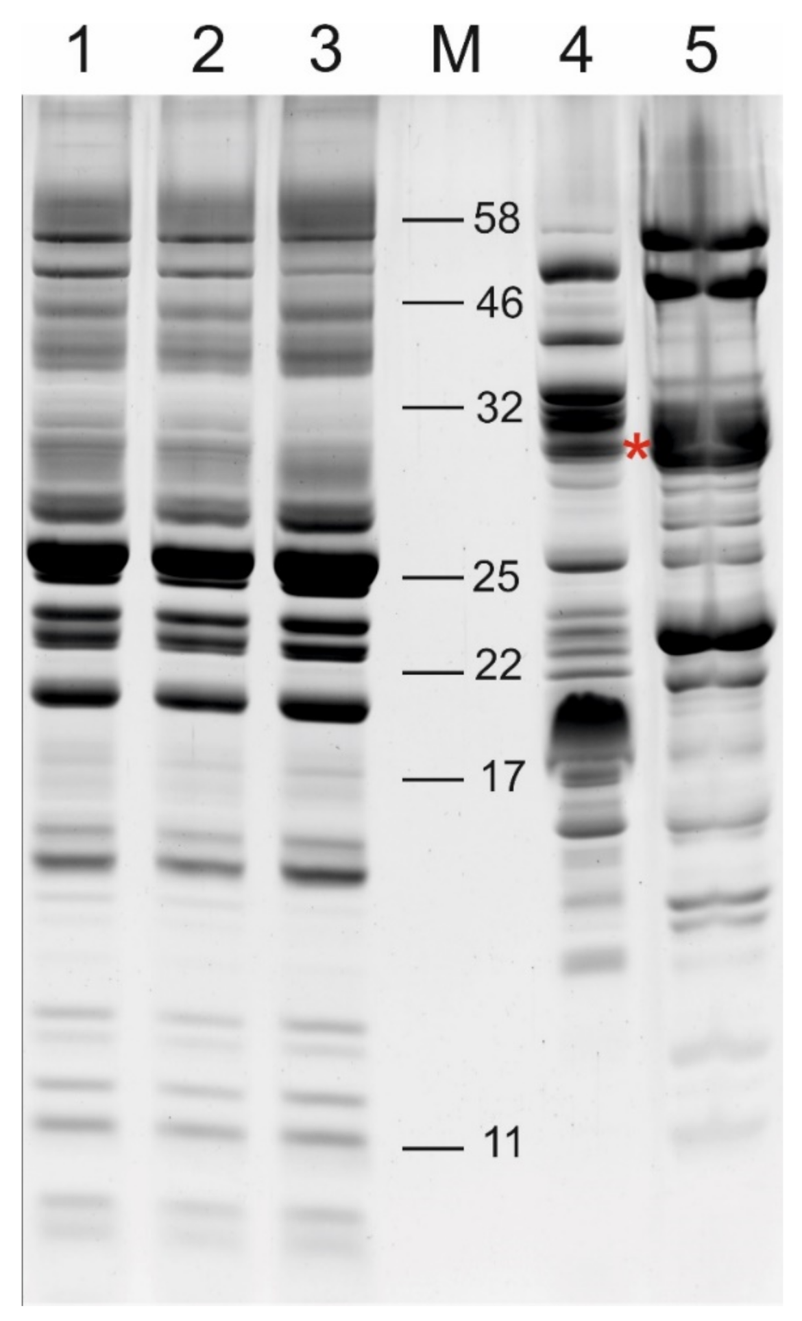 Ijms 22 08126 g001 550